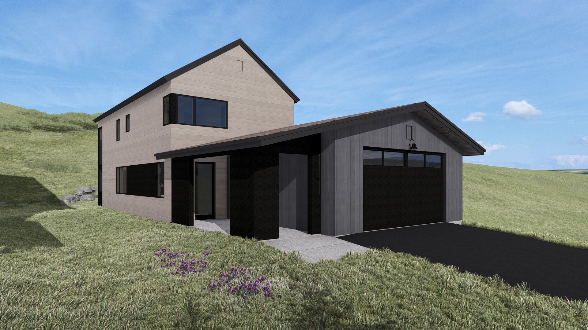 Modern two-story house with garage in grassy landscape.