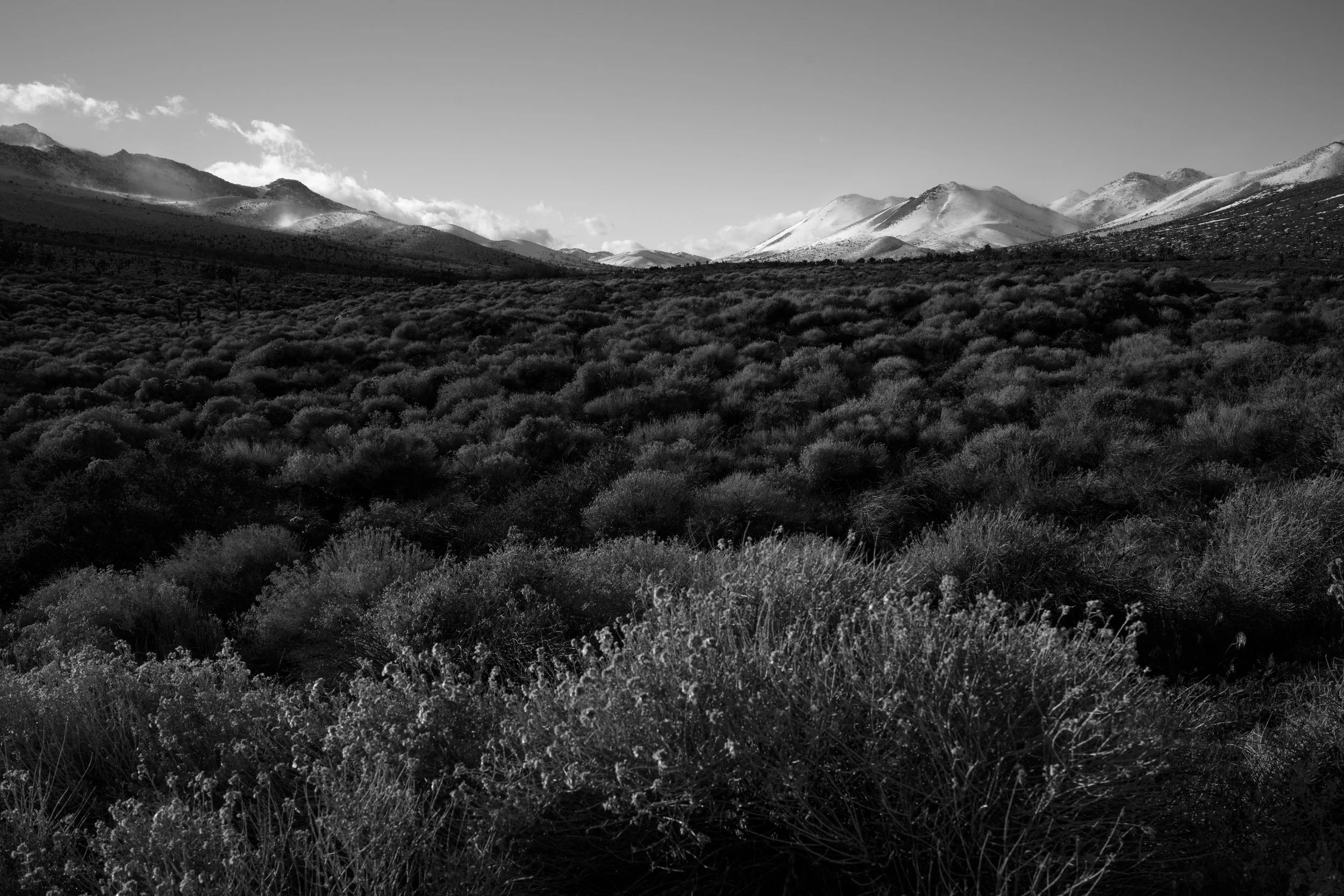 Eastern_Sierras-01279.jpg