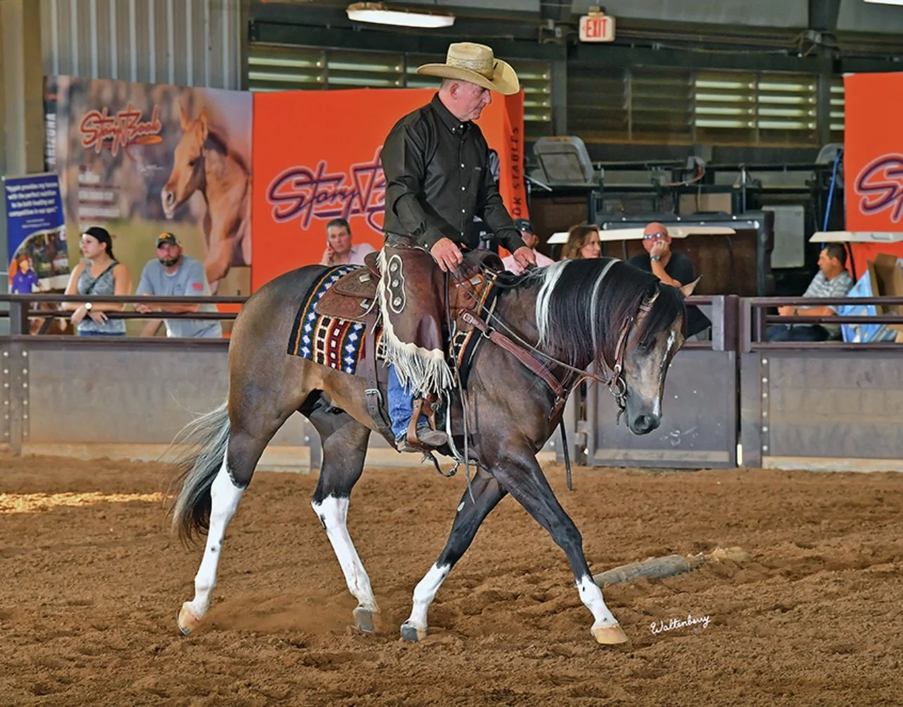 IMG_7825.jpg