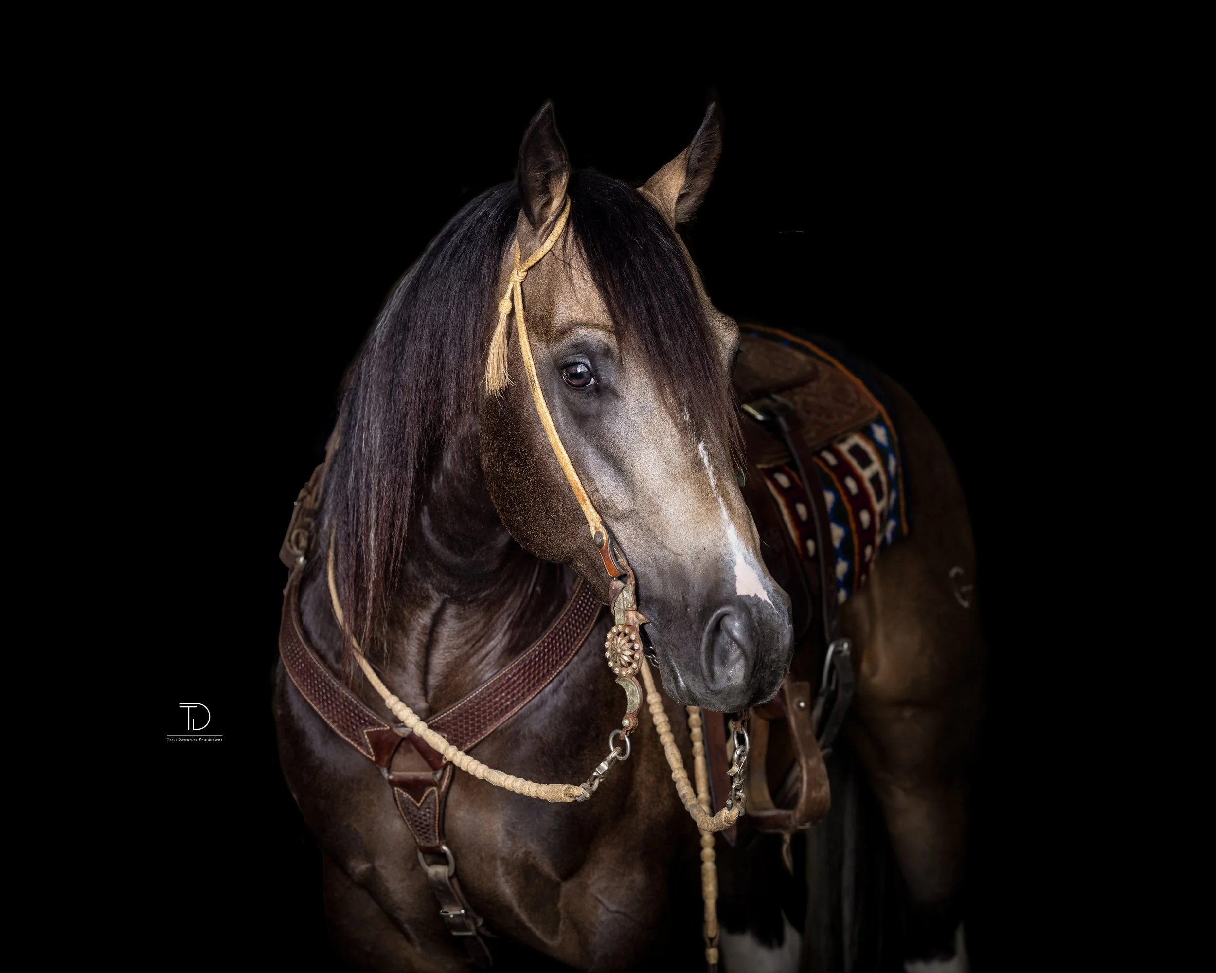 IMG_9580.JPG