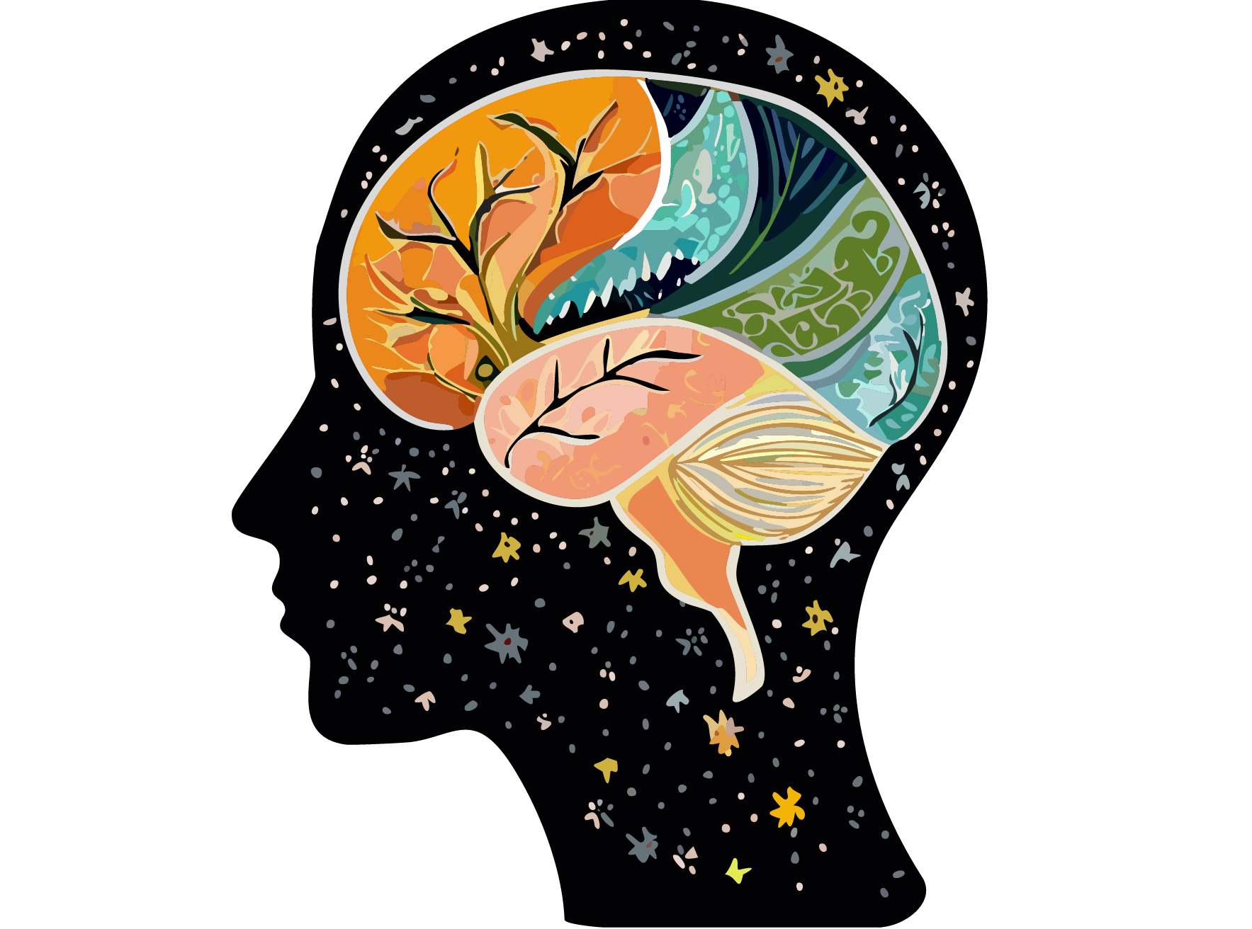 Illustration of a human brain with various sections depicted as colorful, stylized landscapes and scenes, surrounded by floating stars and dots.