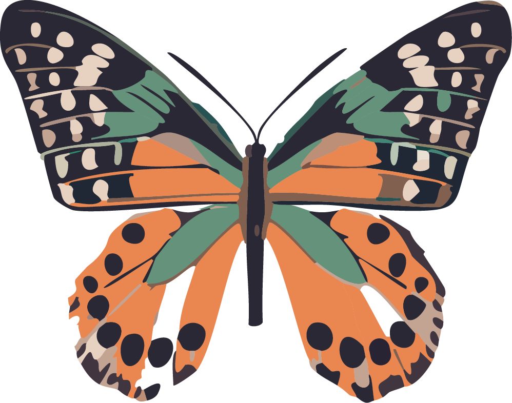 Illustration of a butterfly with orange, green, and black patterned wings.