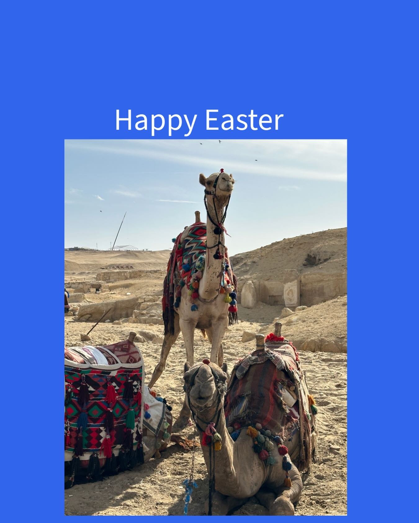 Wishing everyone a peaceful Easter holiday period.

🐣 THE EASTER BOOTCAMP YOU NEVER KNEW YOU NEEDED

A seasonal workout for those committed to fitness&hellip; and chocolate.

1. Bicep Curls (12 reps)
Hold an Easter egg in each hand. Bonus points if 