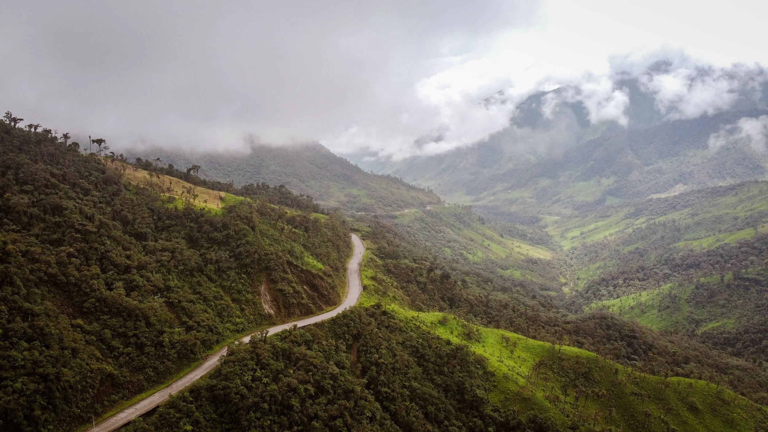DJI_0480.jpg