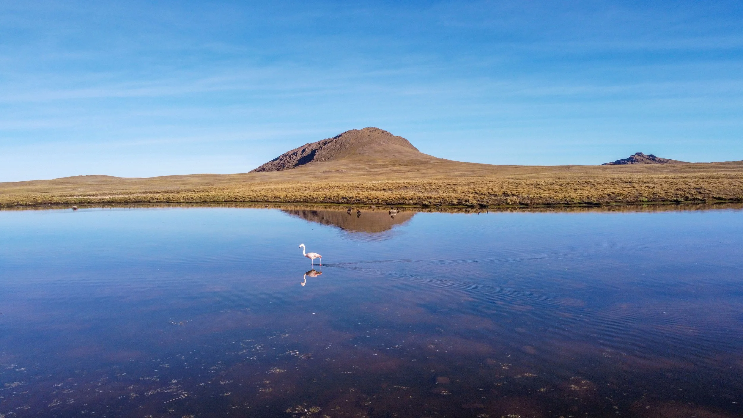 DJI_0608.jpg