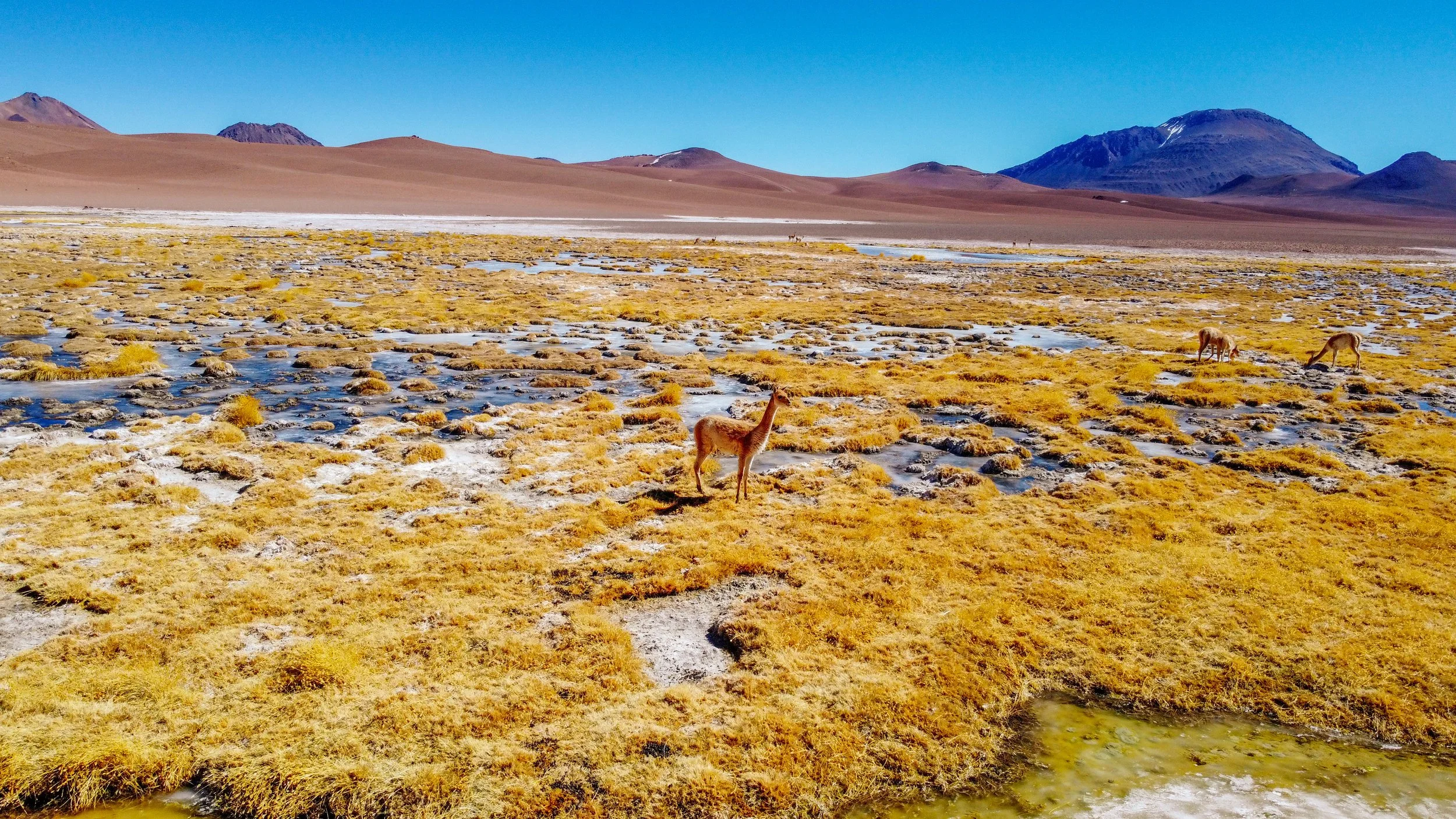 DJI_0648.jpg