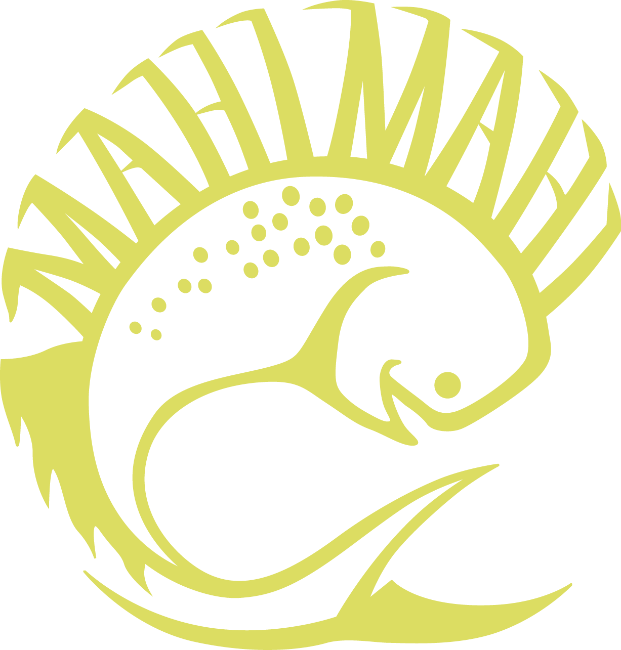 MAHI CRUISES