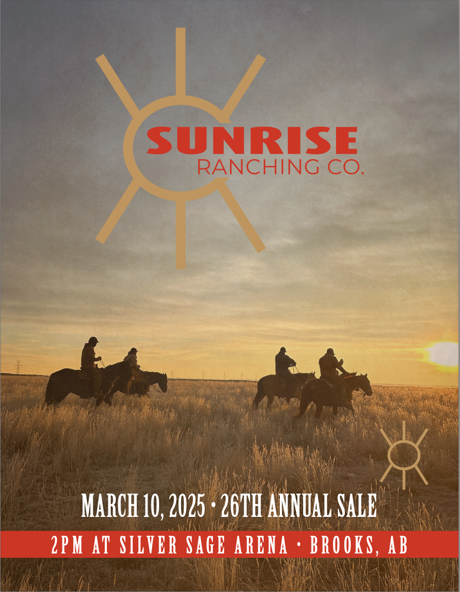 Sunrise Ranching Company logo over a sunset scene with four people horseback riding through a grassy field, promoting an annual sale event on March 10, 2025, at Silver Sage Arena in Brooks, Alberta.