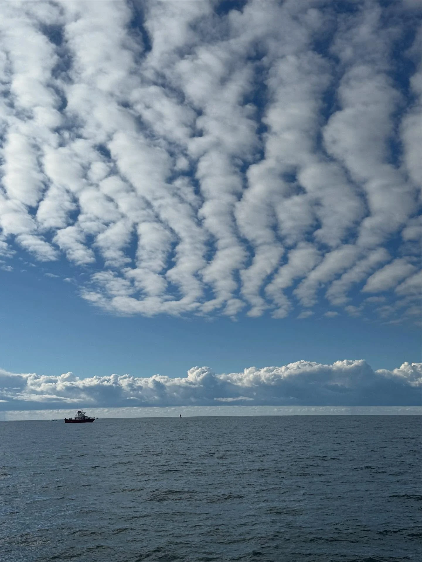 altocumulus undulatus ☁️ 
#clouds #altocumulusclouds #altocumulousundulatus #cloud #cloudsporn #cloudsofinstagram #oceanclouds