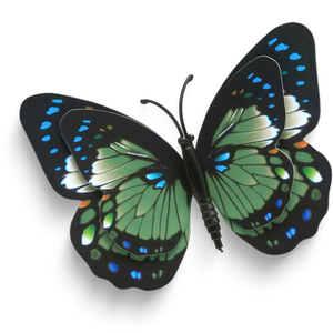 Butterfly 3