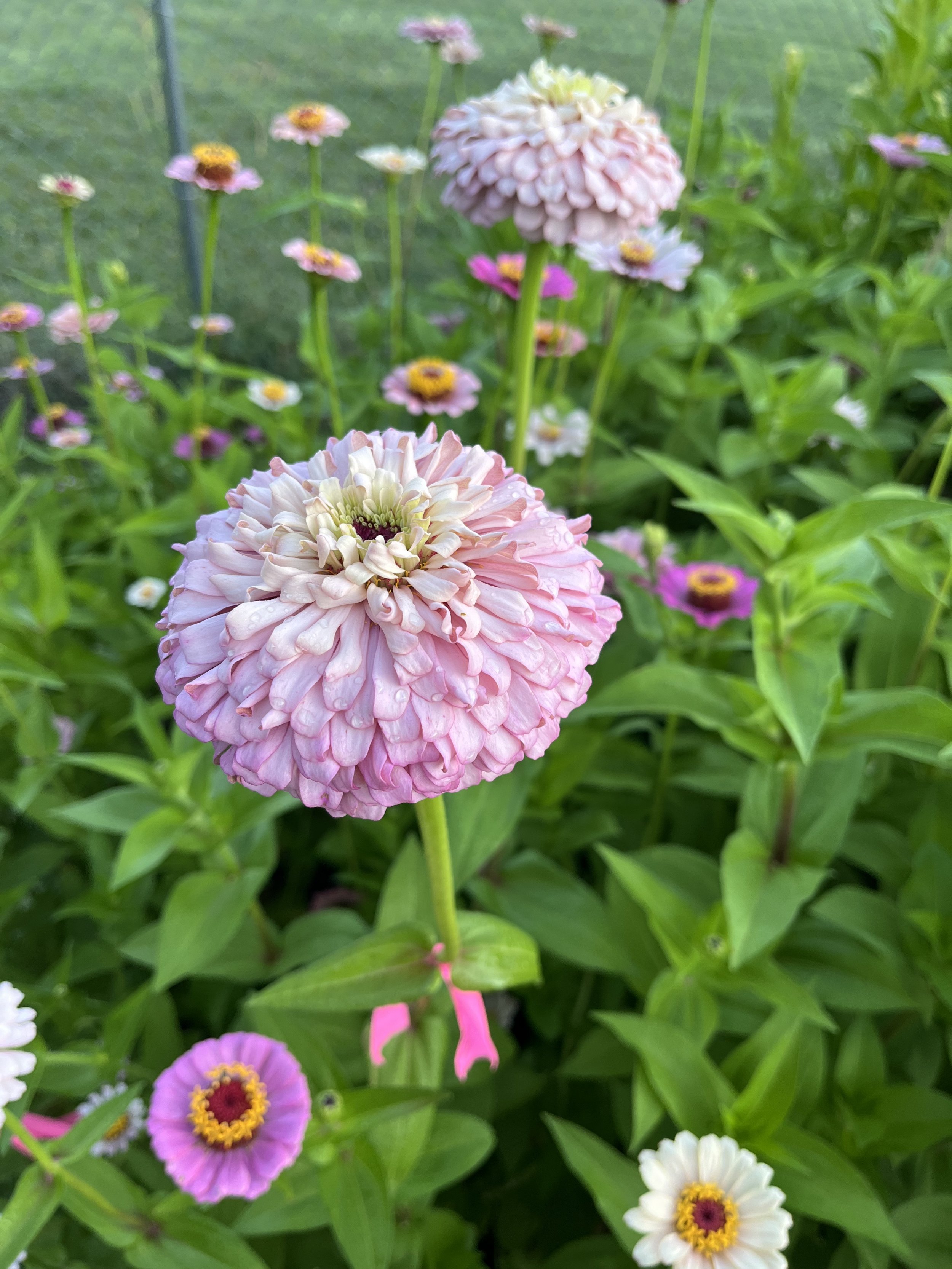 IMG_0288.jpeg