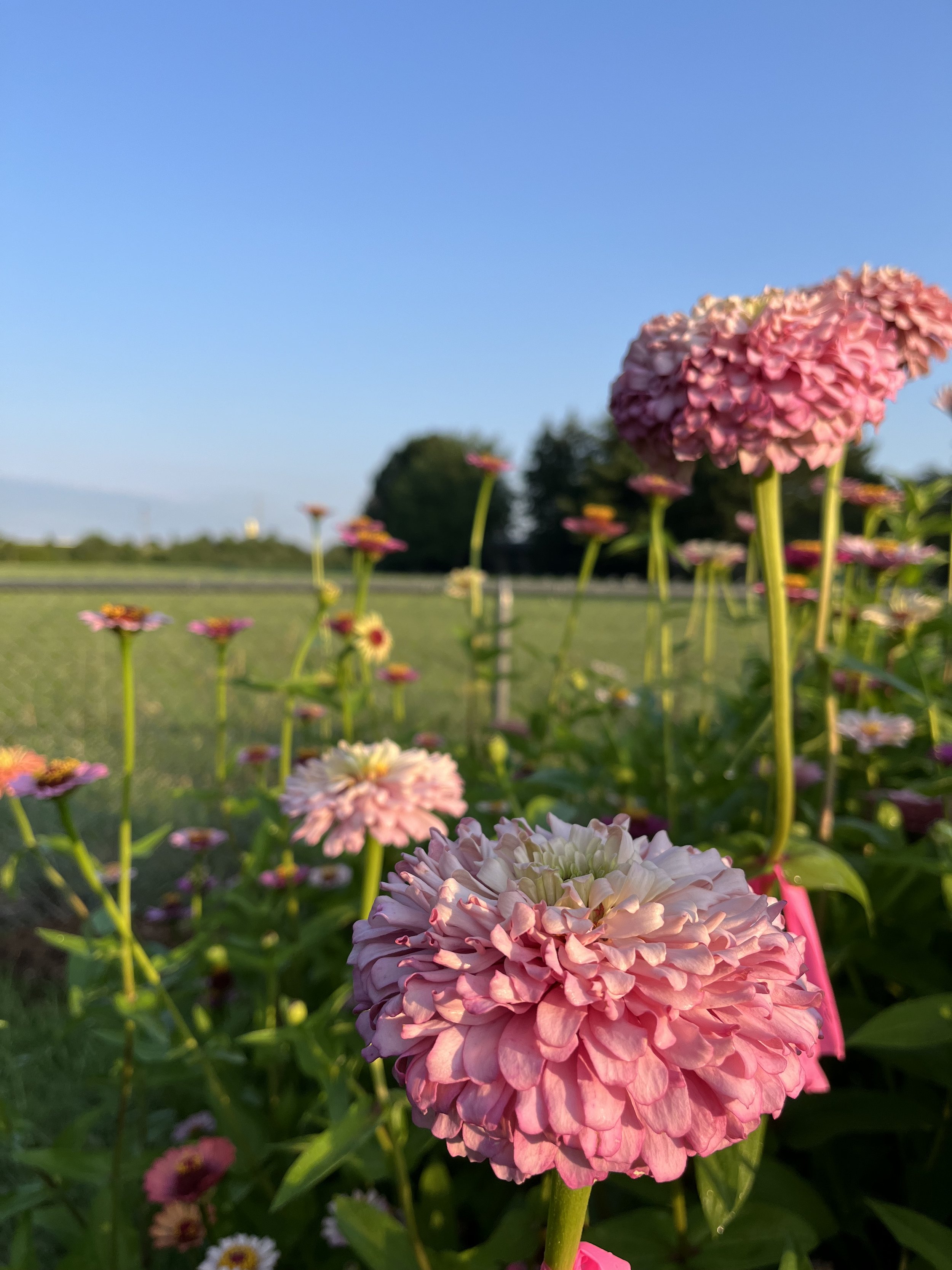 IMG_0327.jpeg
