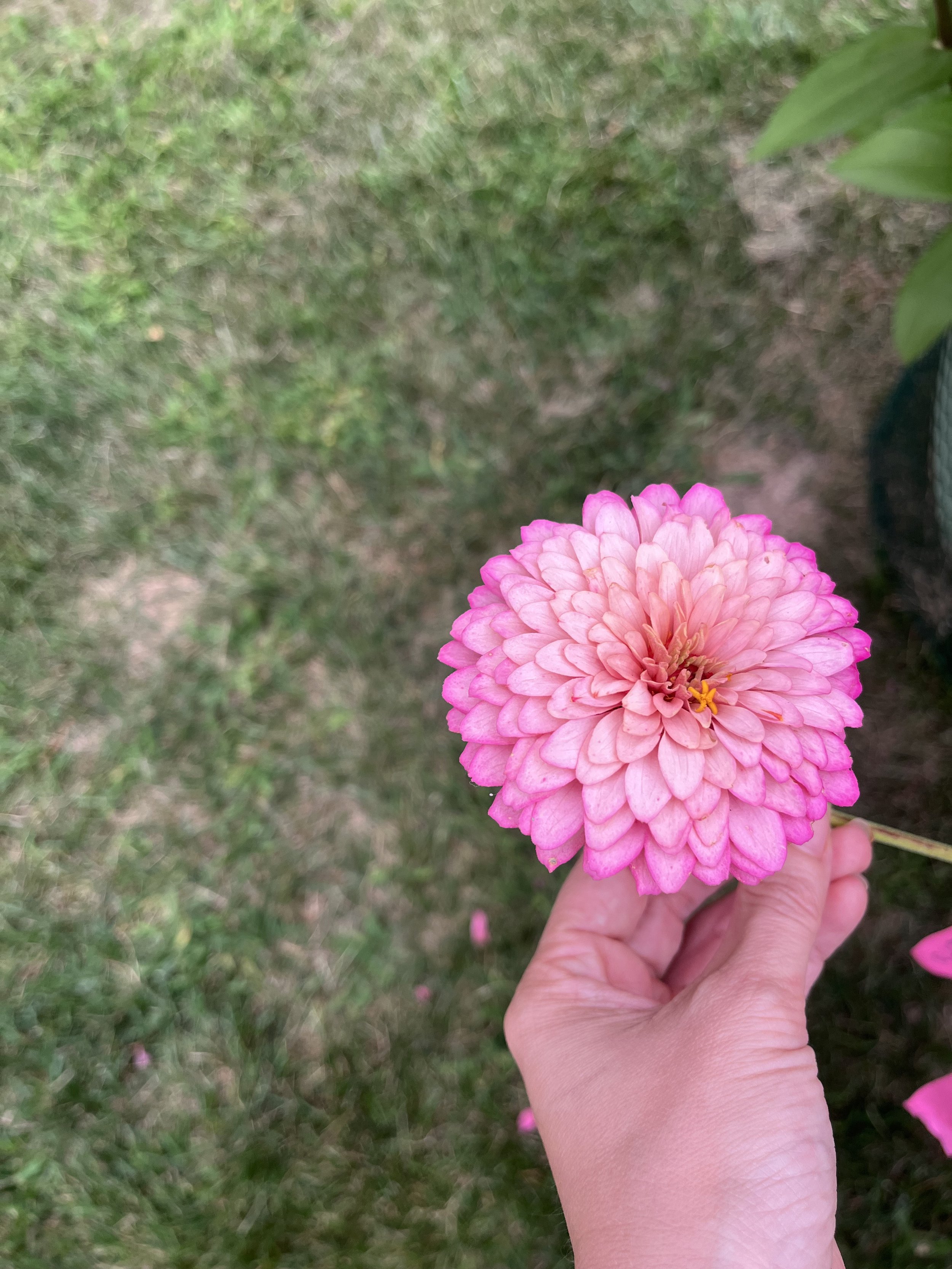 IMG_0387.jpeg