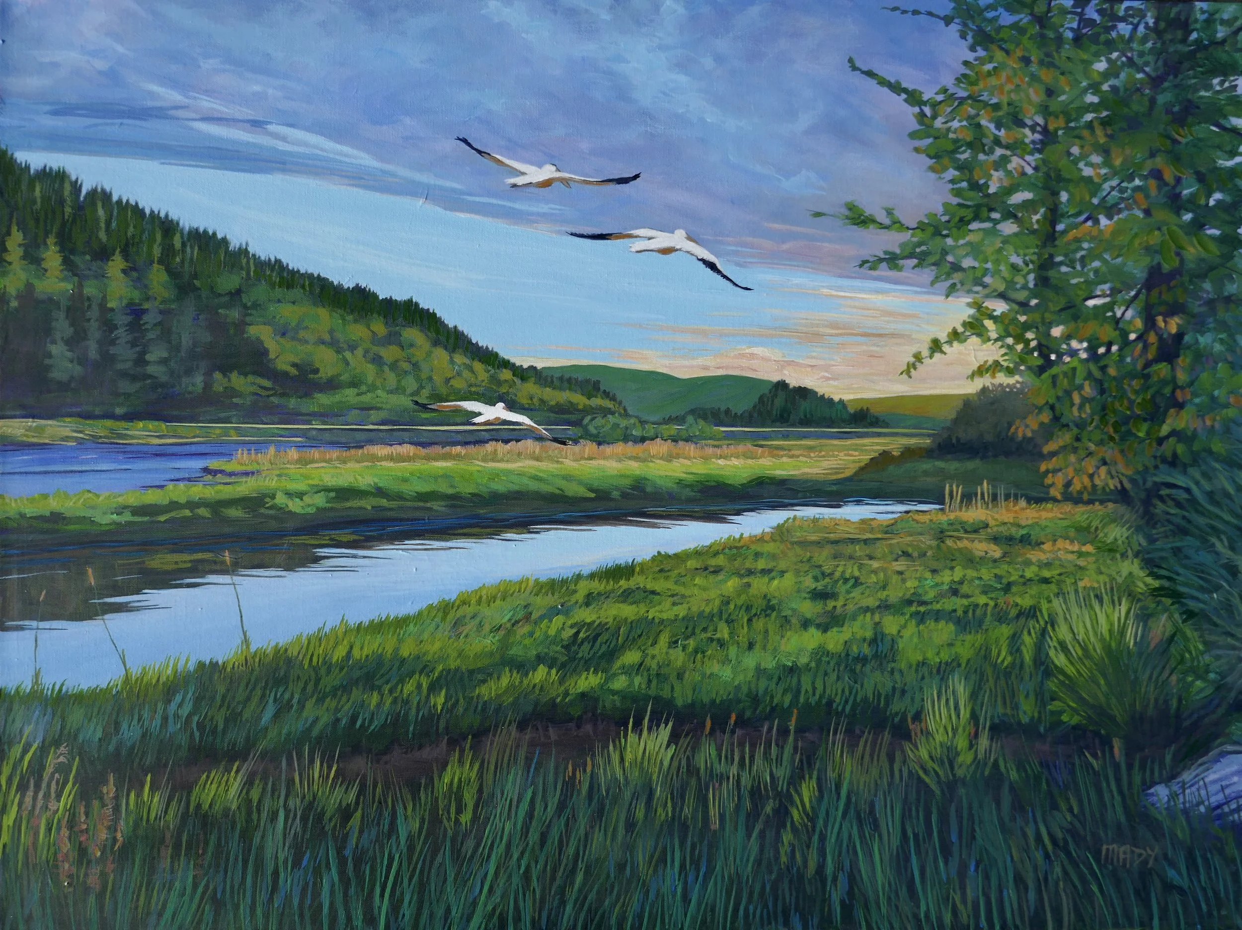 Silent Fly By   30x40