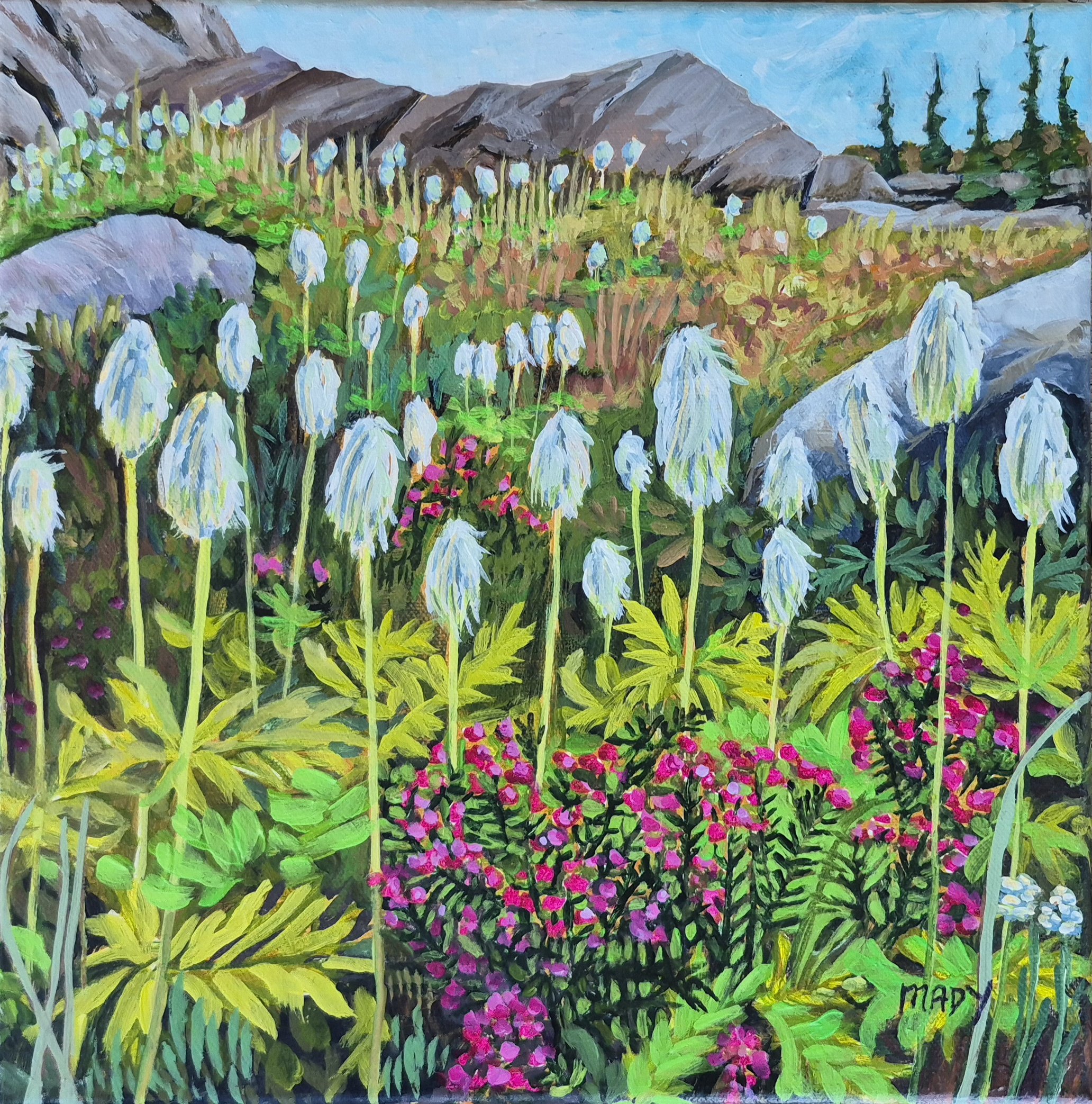 Mountain Avens Gulch 12x12