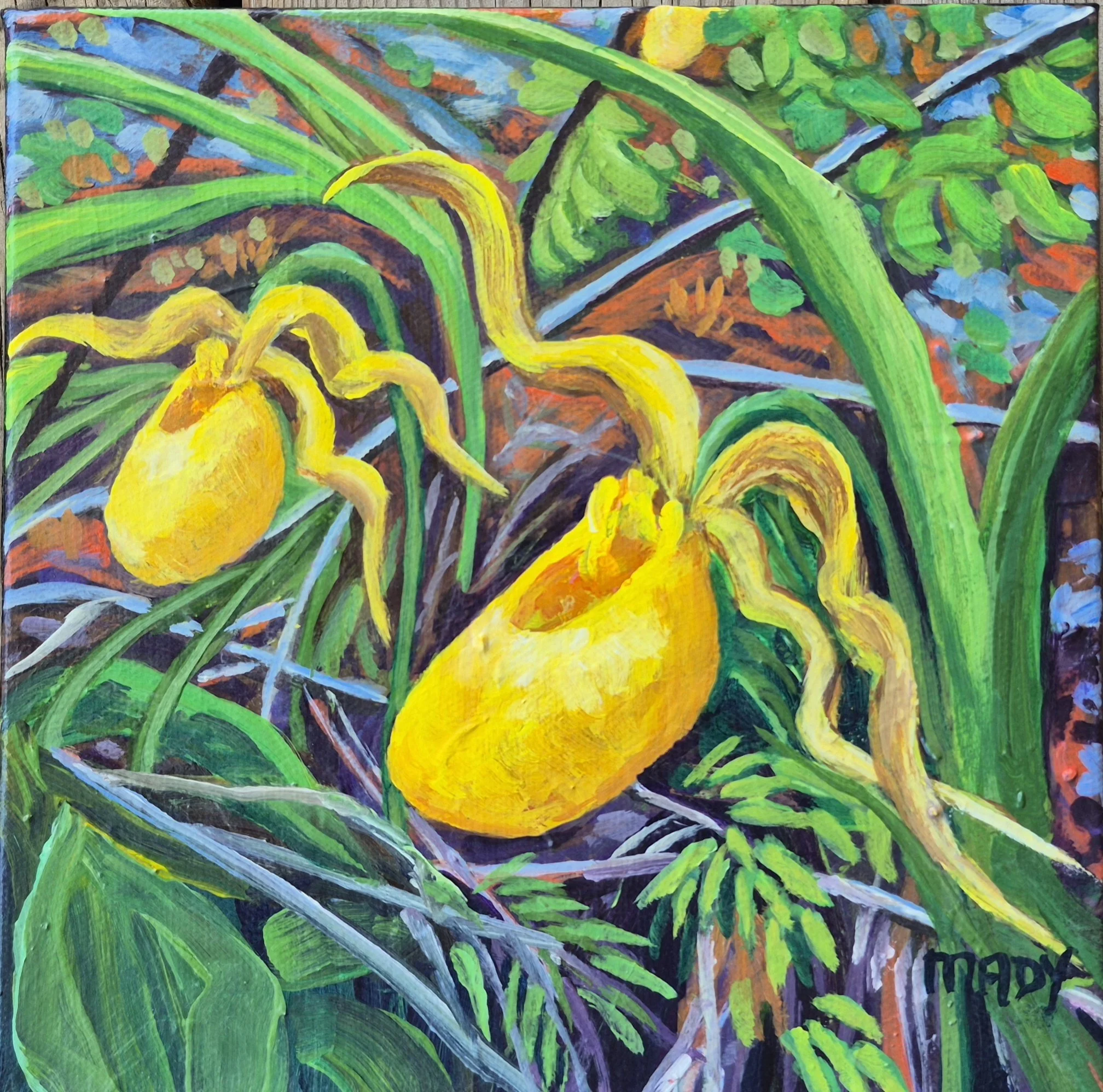 Lady's Slippers 8x8