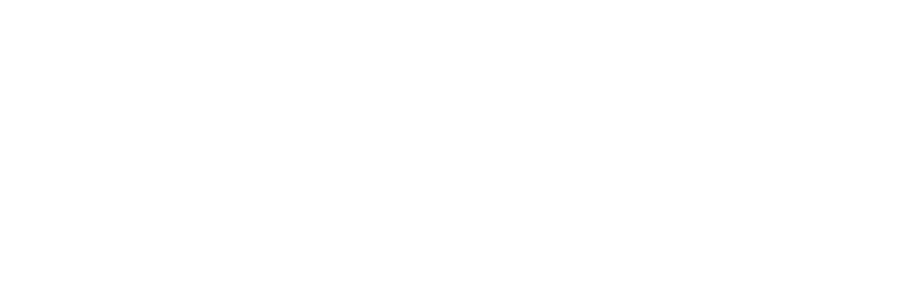 Black background with bold white text that says "ACTION BRONSON"