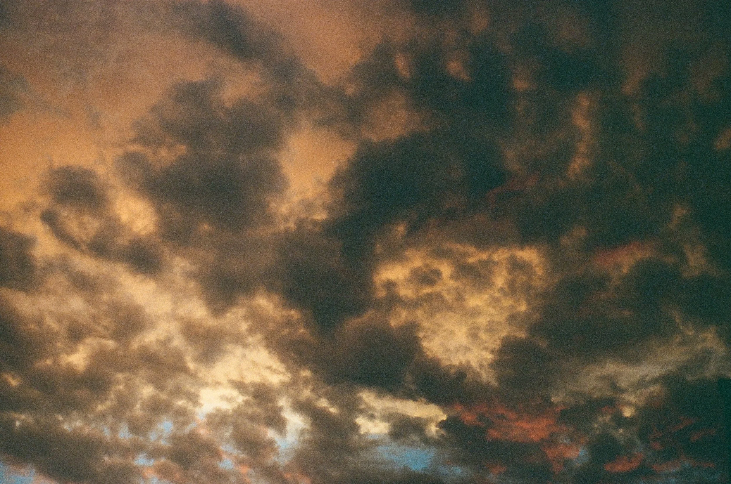 opening newsletter // open love letter 