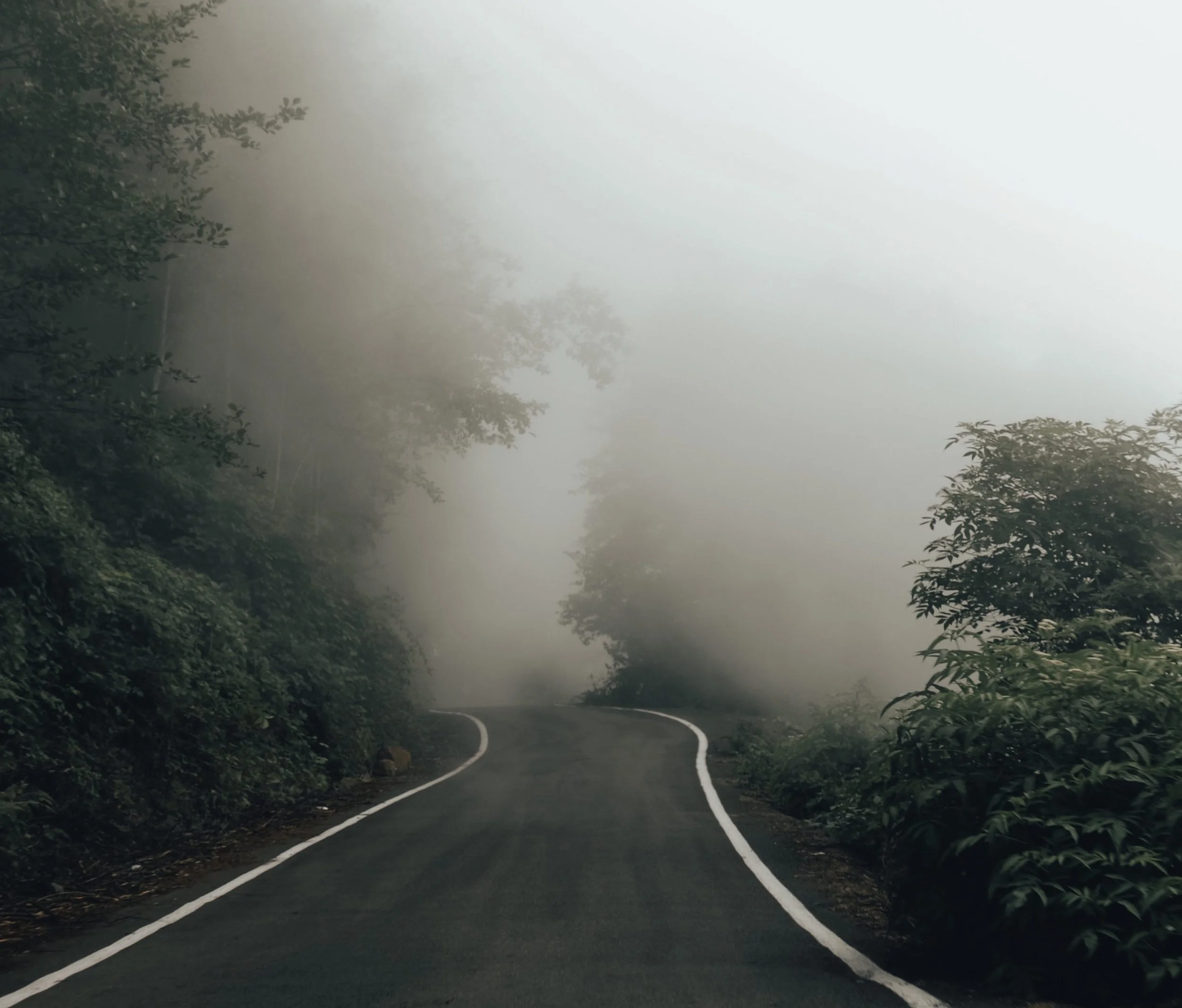 Obfuscation: why it matters in investing