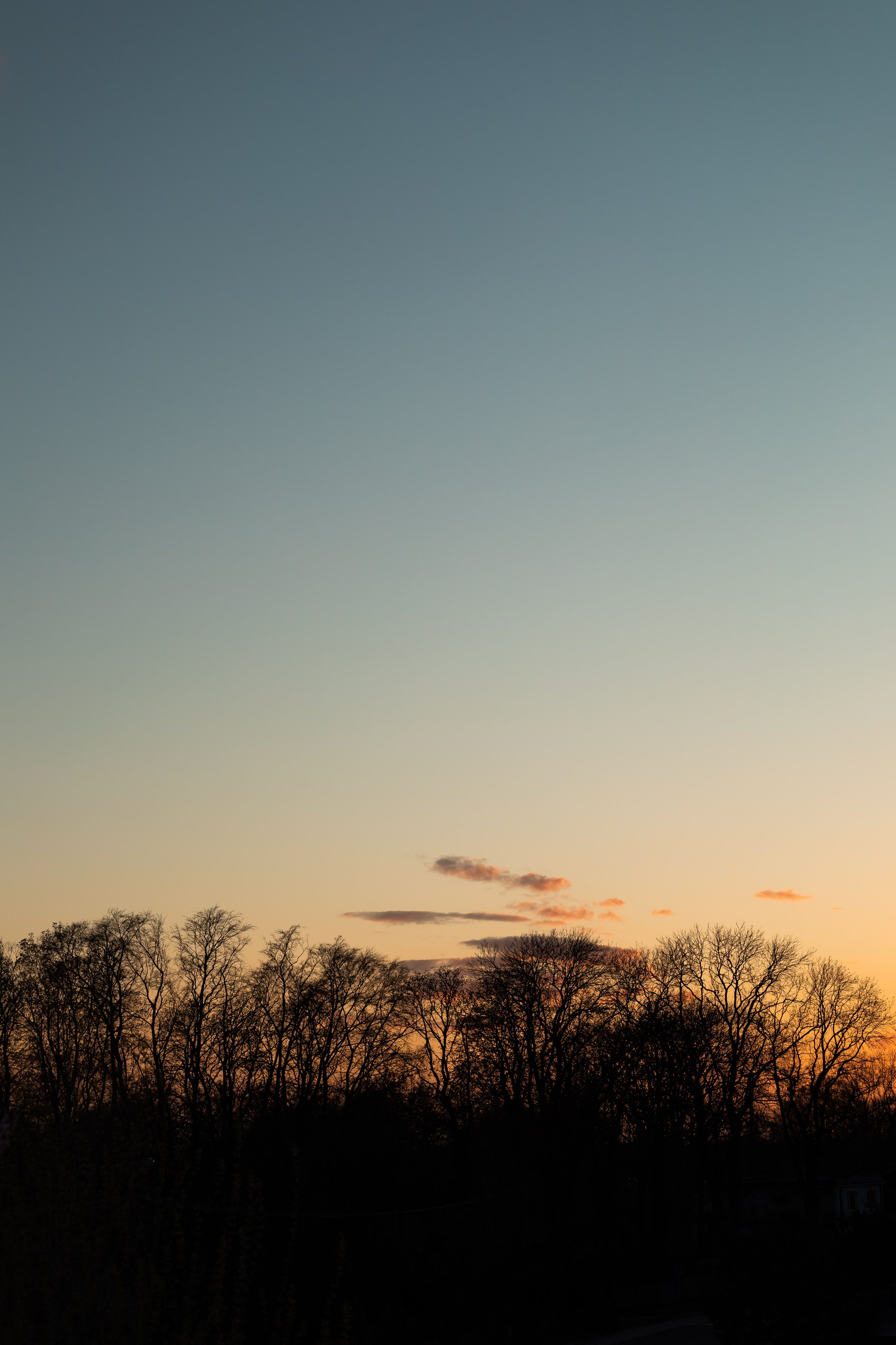 kaboompics_forest-view-by-sunset-17641.jpg