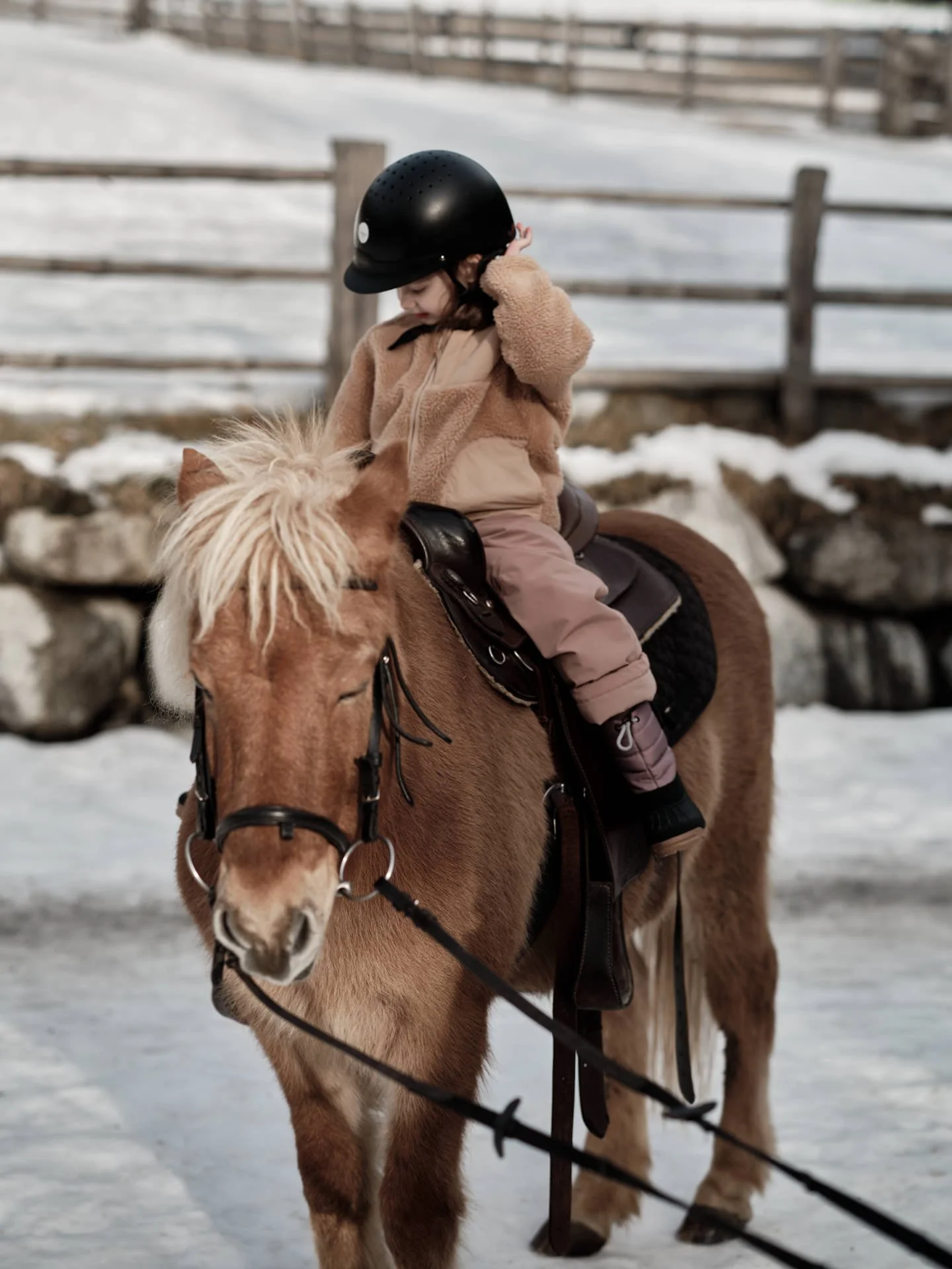 SONNWIES_Winter_2024_Reiten_ 57_HighRes_LowRes.jpg