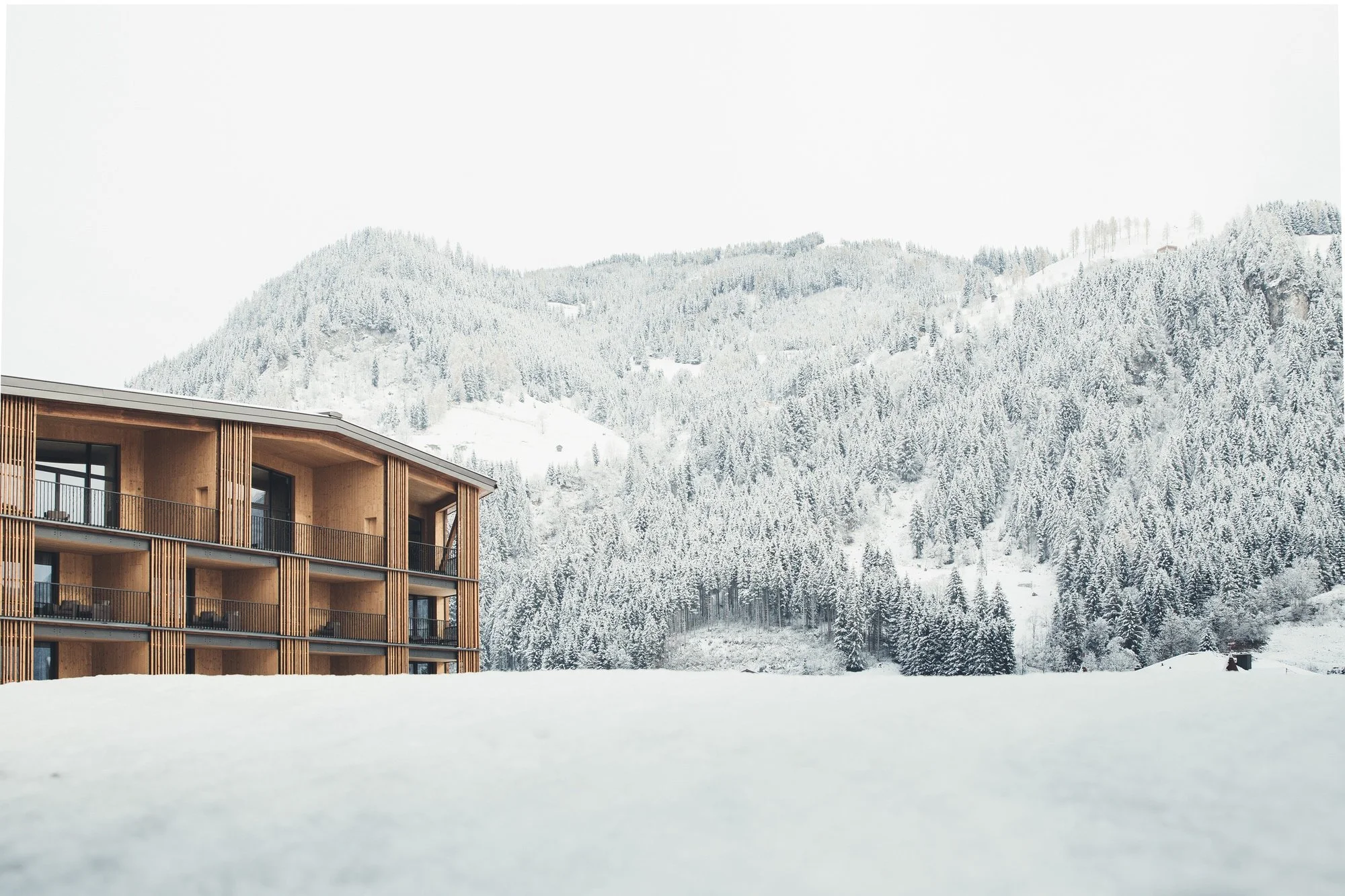 Copy of Nesslerhof Winter 2.jpg