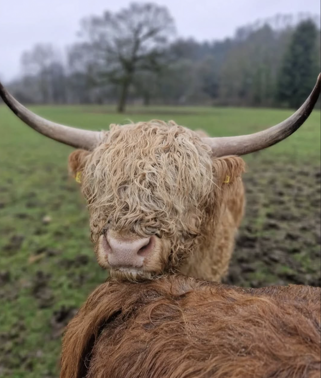 family day out near London