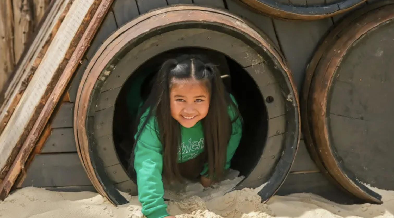 traditional farm park near London experience