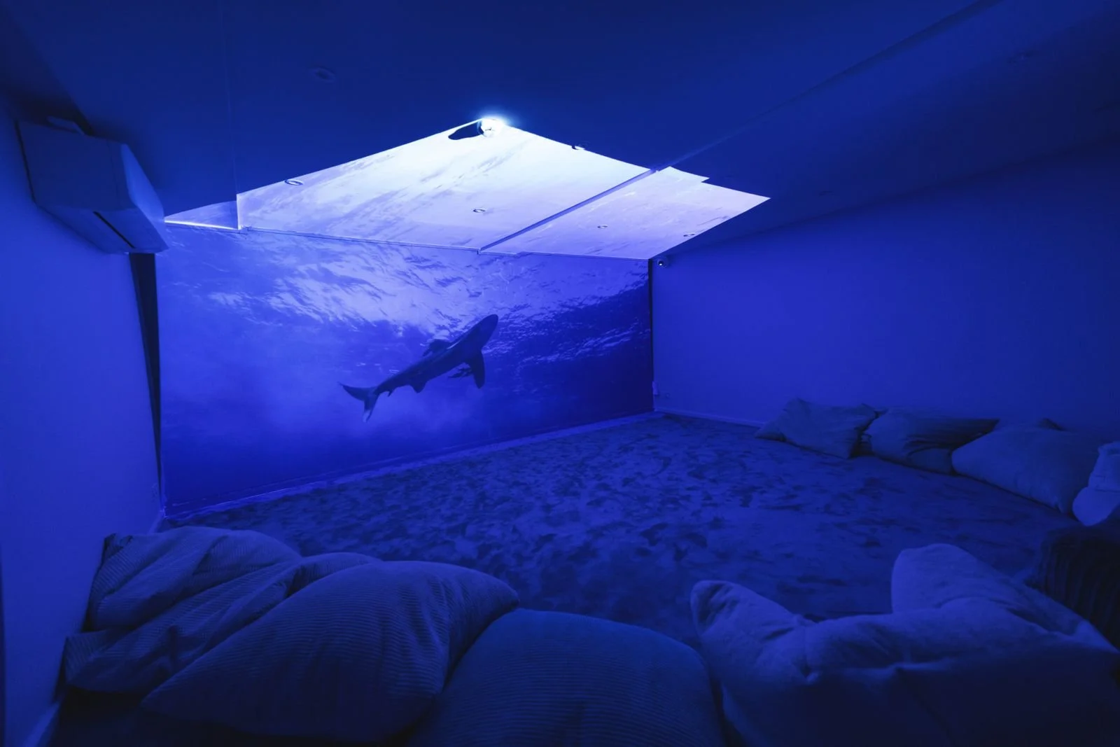 WhatsApp Image 2025-09-29 at 15.44.24.jpeg