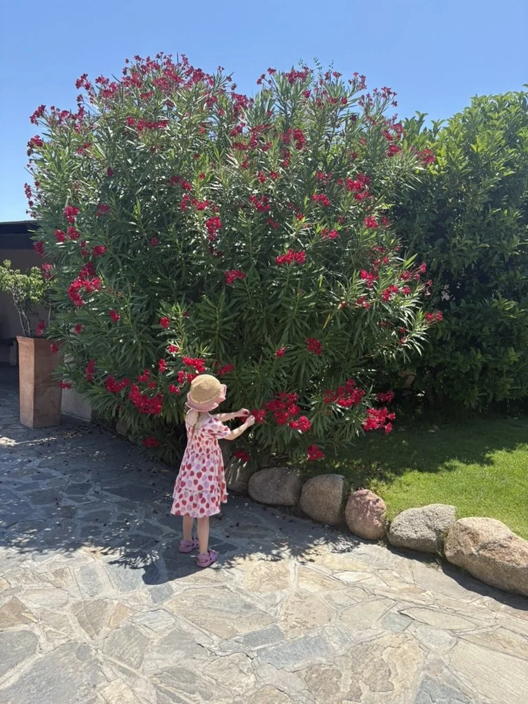 C99D2391-E6E5-471B-A1F2-9FD25C774747_1_105_c.jpeg
