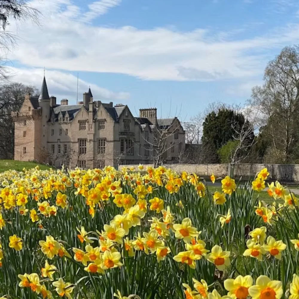 Brodie Castle.jpg