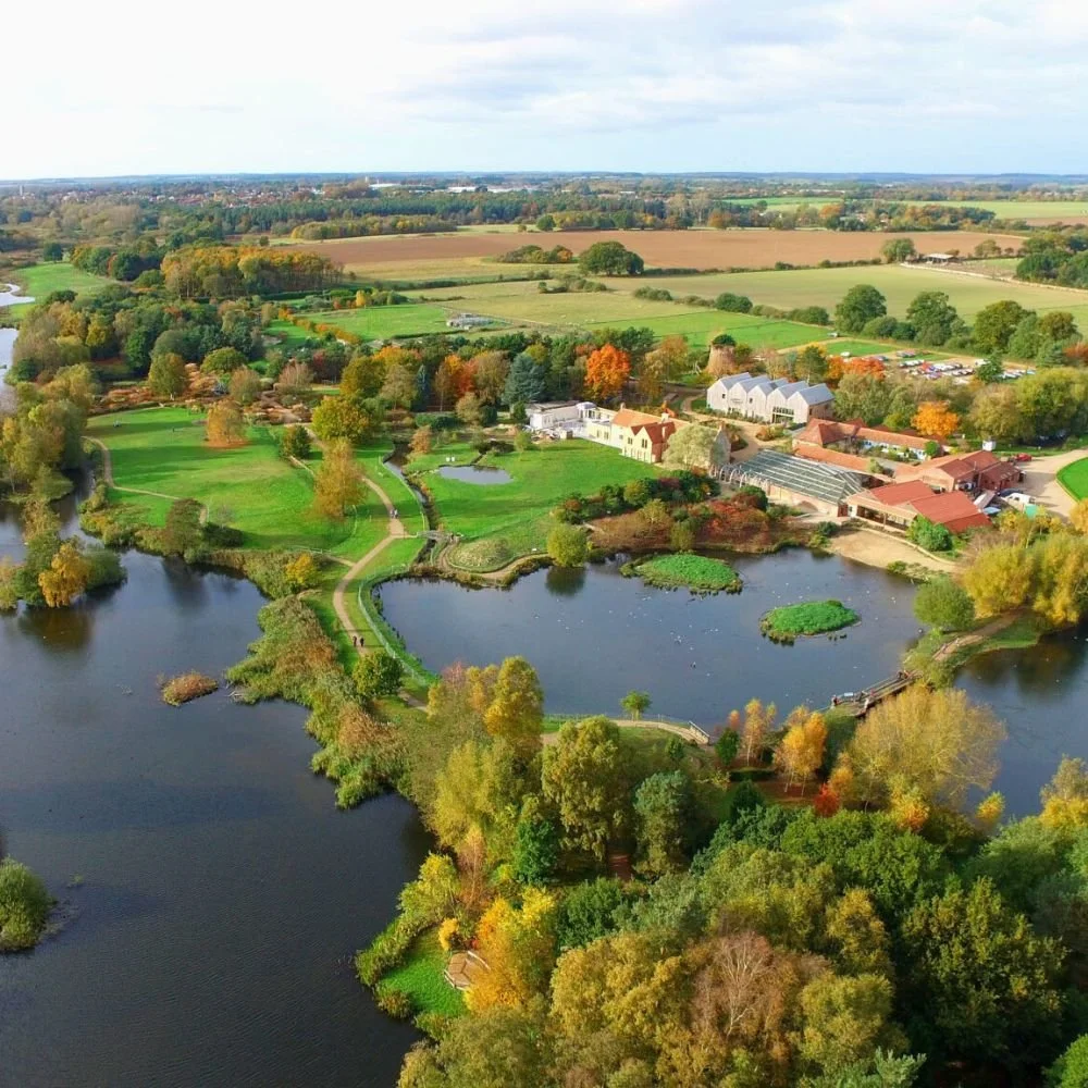 Pensthorpe (2).jpg