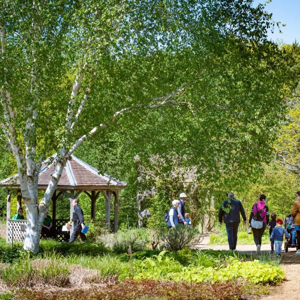 Pensthorpe.jpg