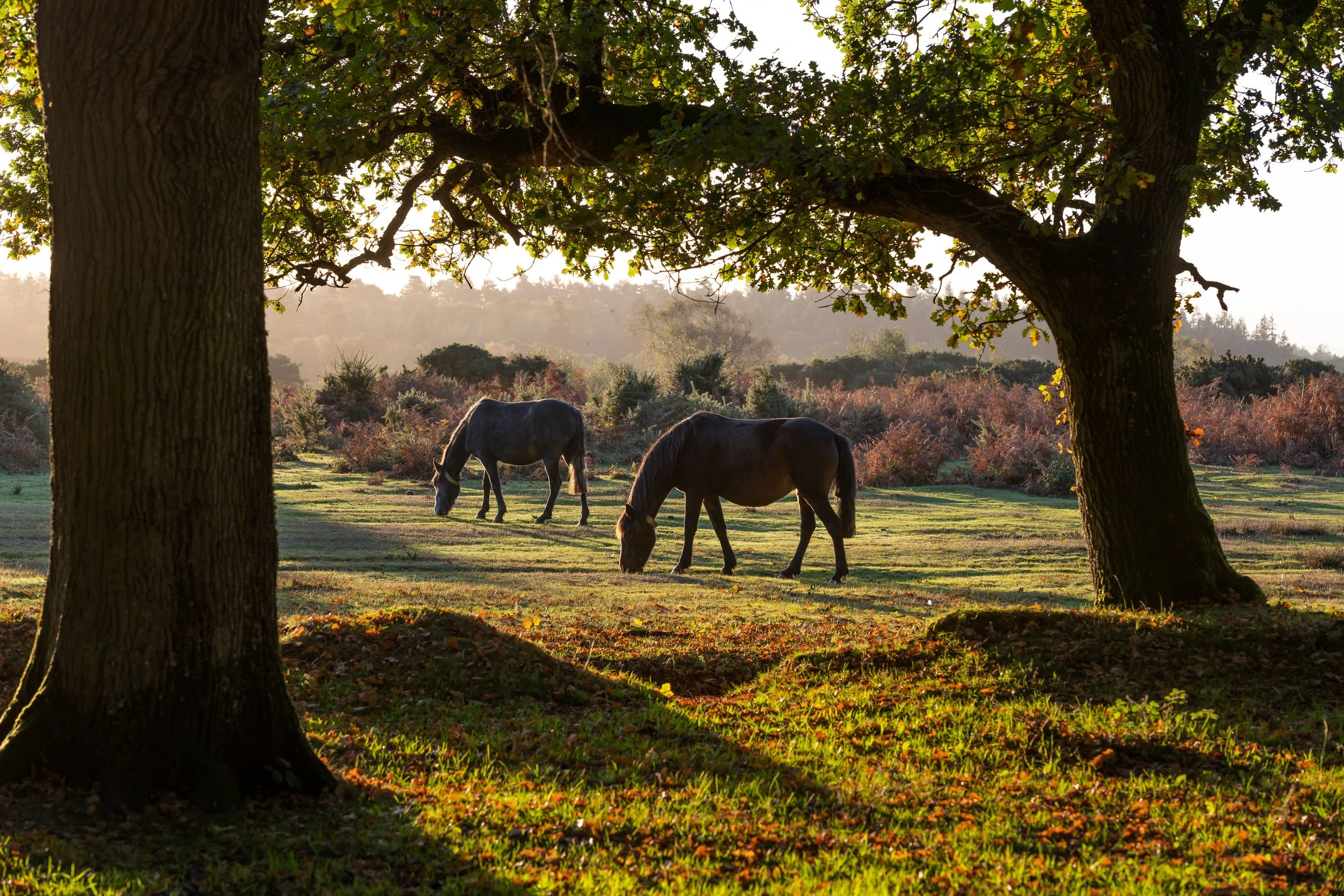 5 of the best October half-term holidays under 3 hours from London