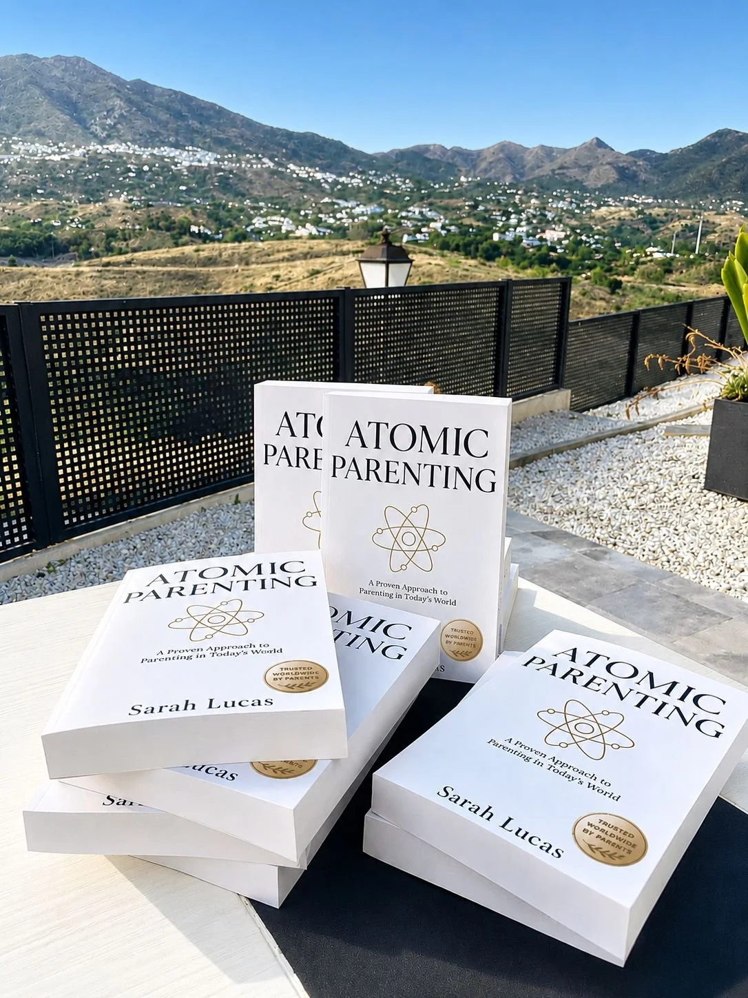 Book arrival.JPG