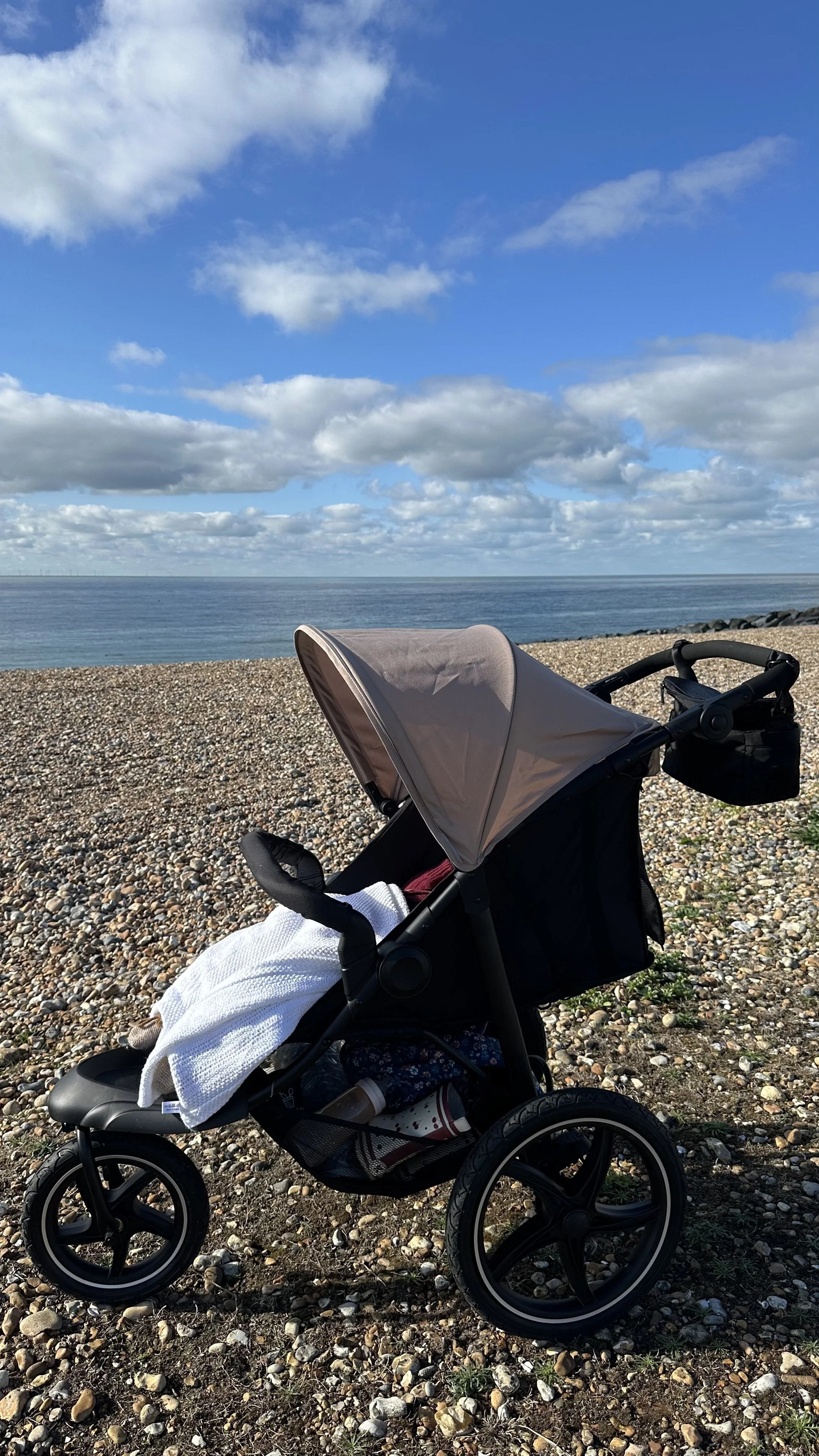 Hauck Runner 2 Review