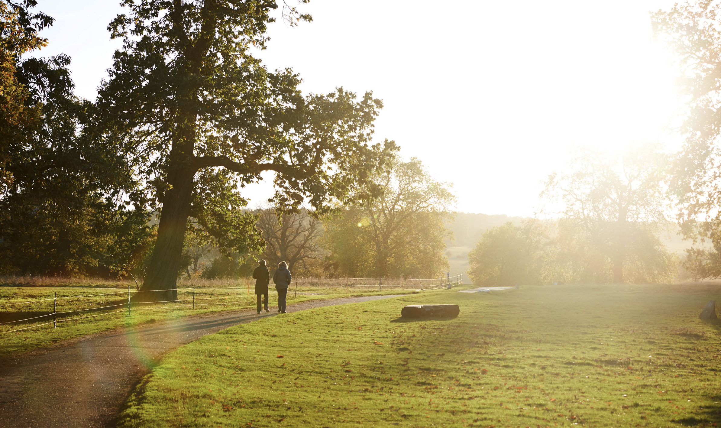 The Ickworth - Suffolk