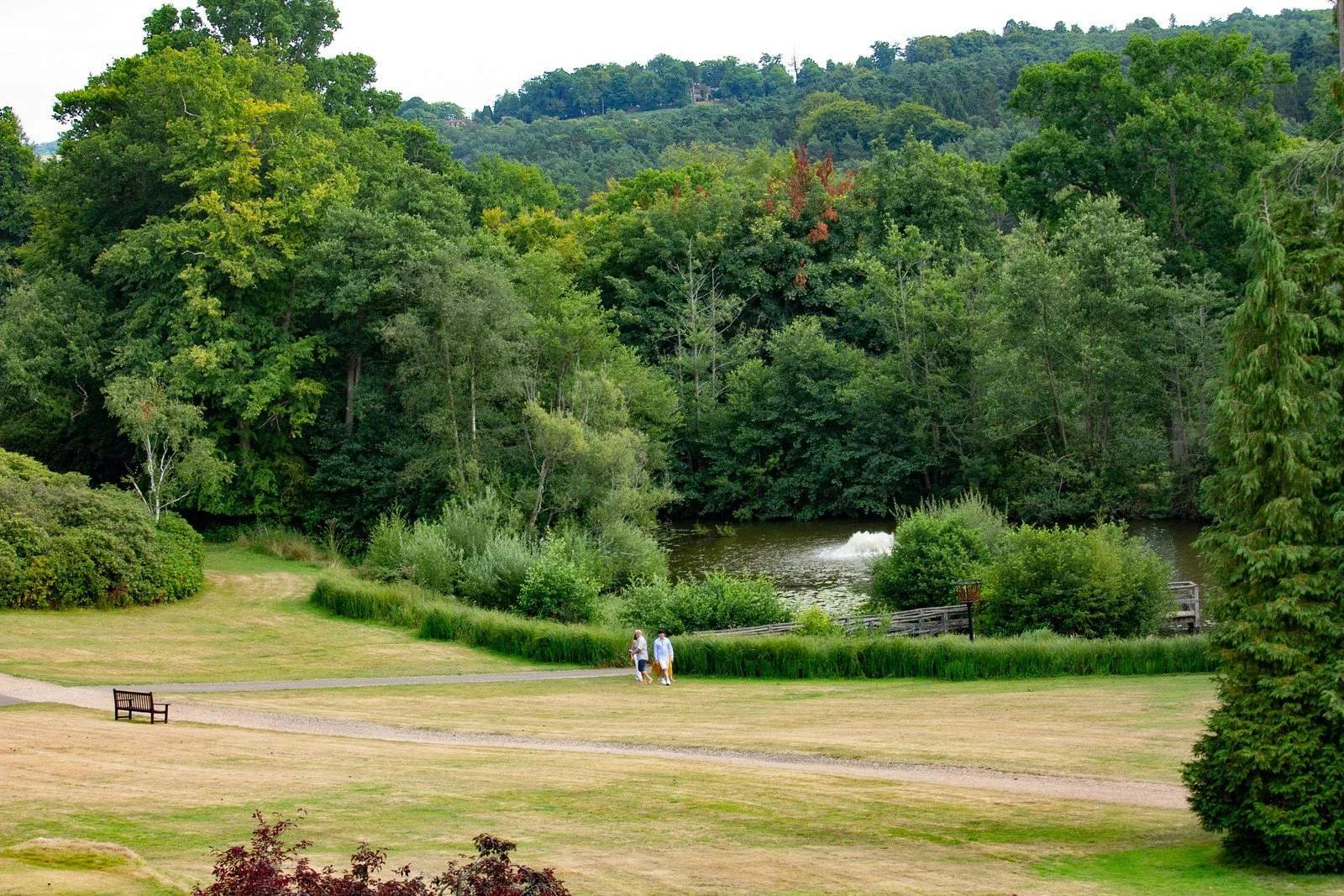 Ashdown Park Hotel & Country Club luxury family stay uk