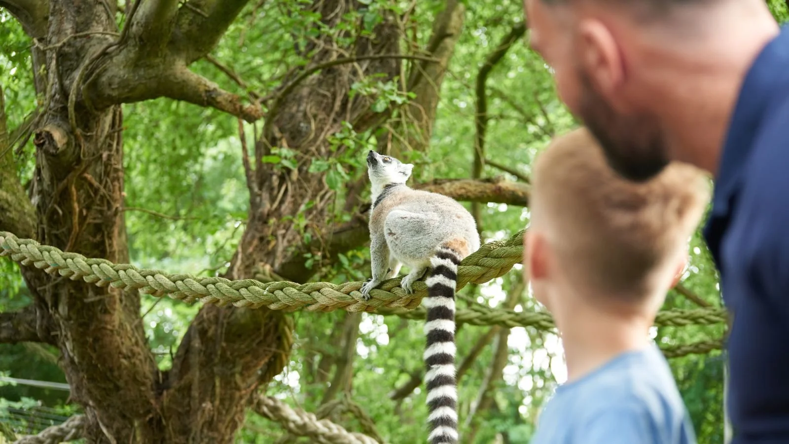 summer days out for kids Kent