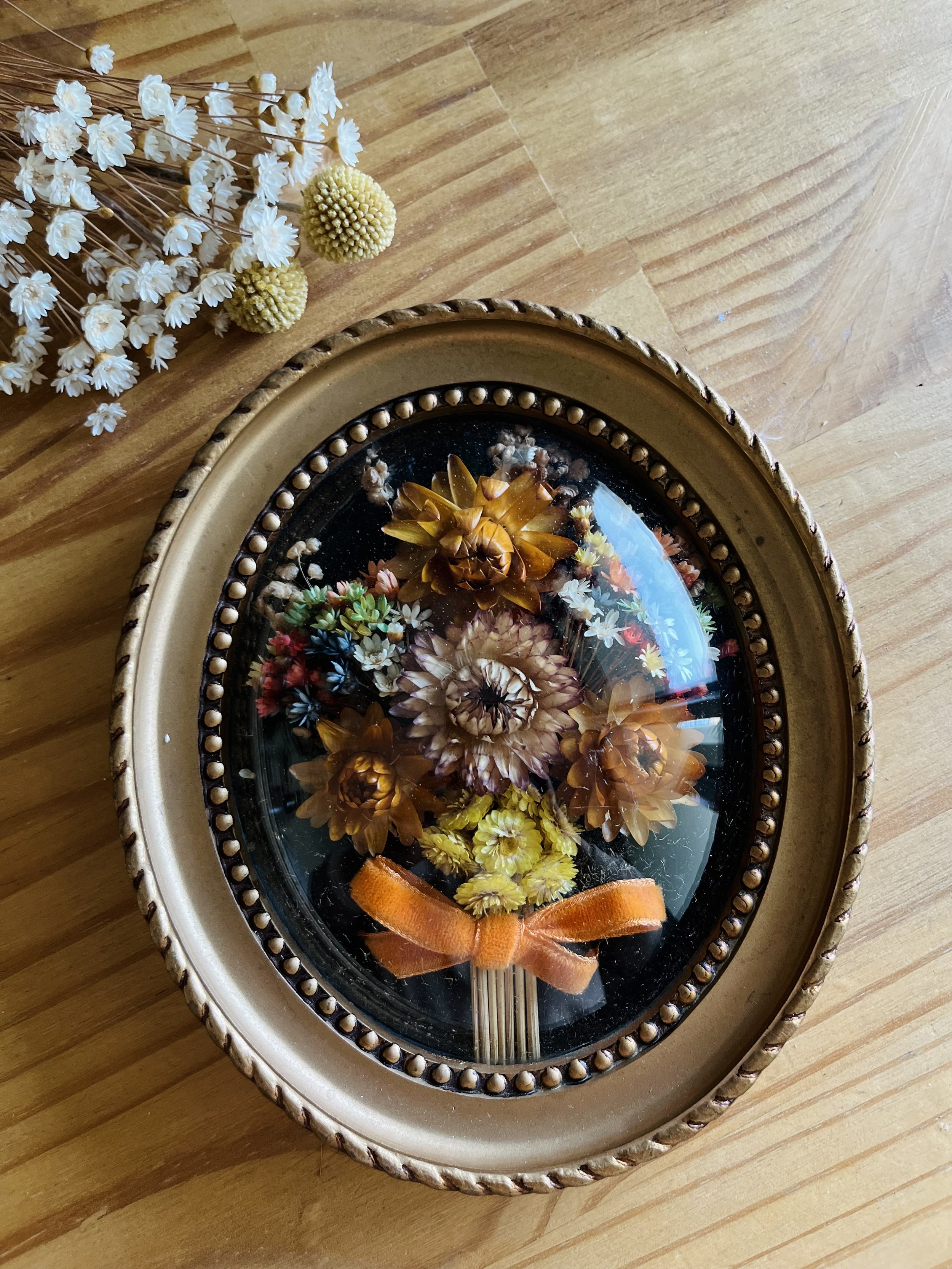 Cadre oval fleurs séchées