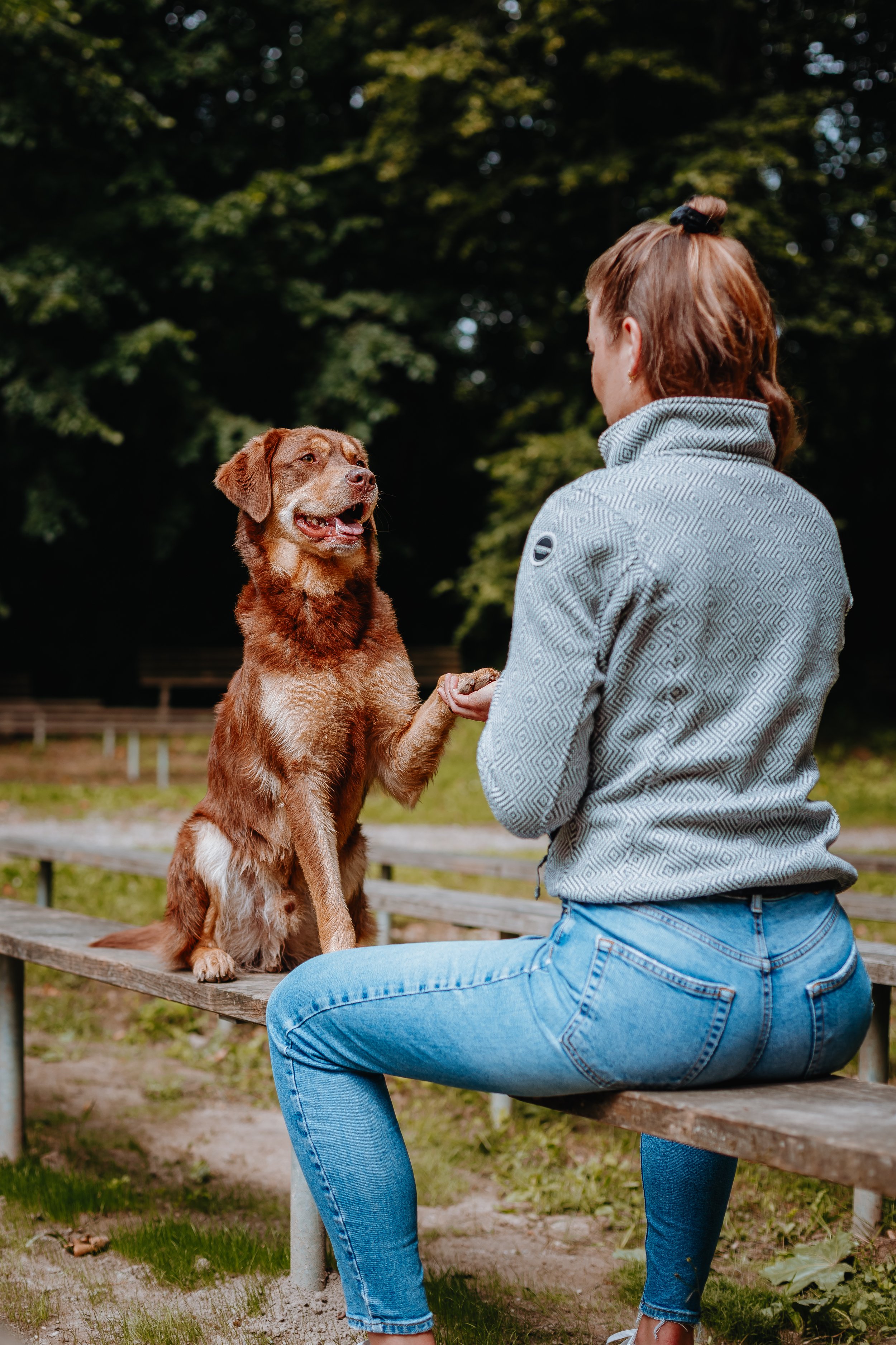 Raketenpfoten_Hundetraining.jpg