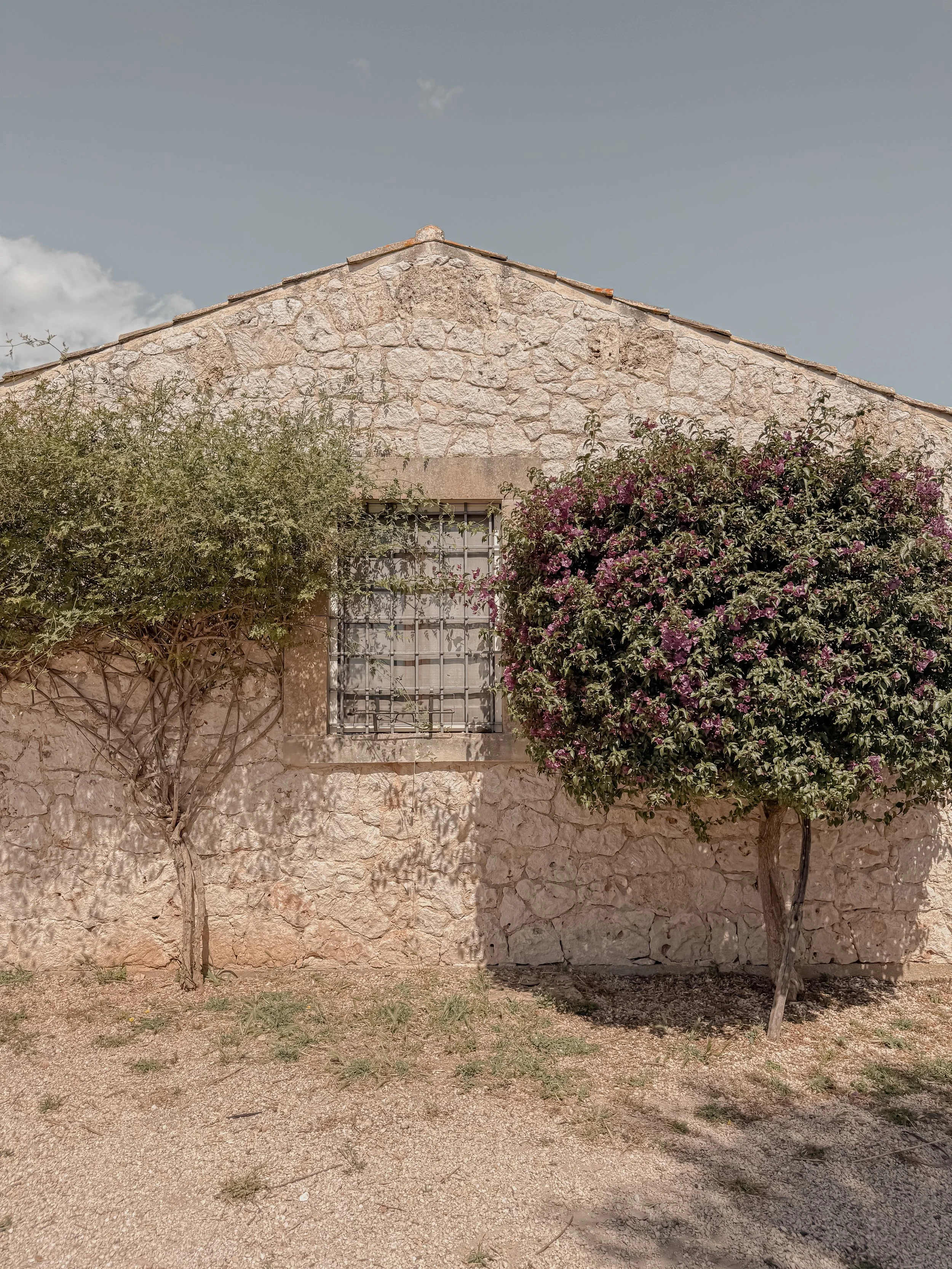 A stone building wall with a small window and metal bars, two trees with purple flowers and green foliage, standing on a dirt ground with some patches of grass, under a blue sky with a few clouds.