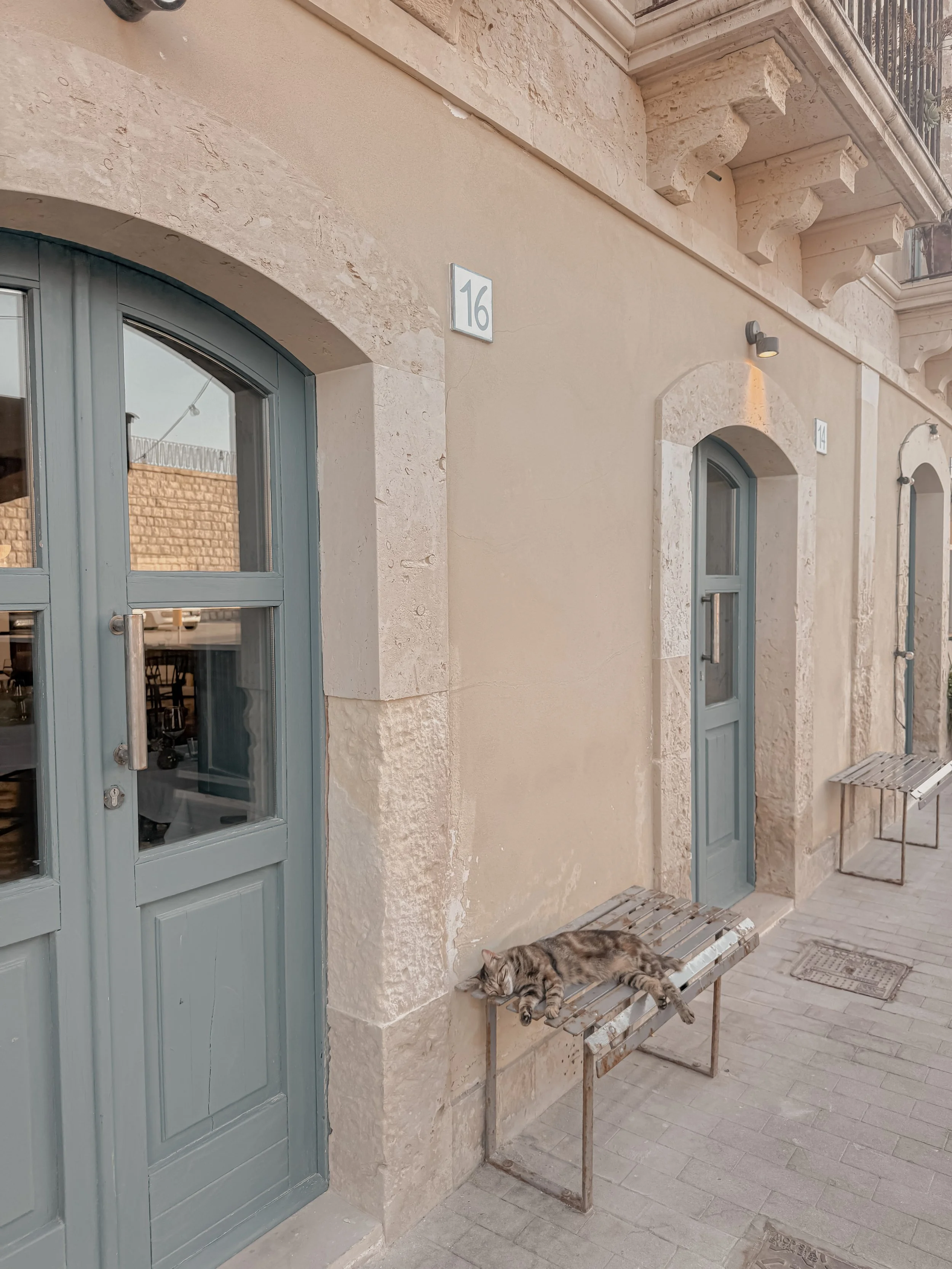 A cat is sleeping on a bench outside a building with beige walls, blue-gray doors, and numbered address signs 16 and 14.