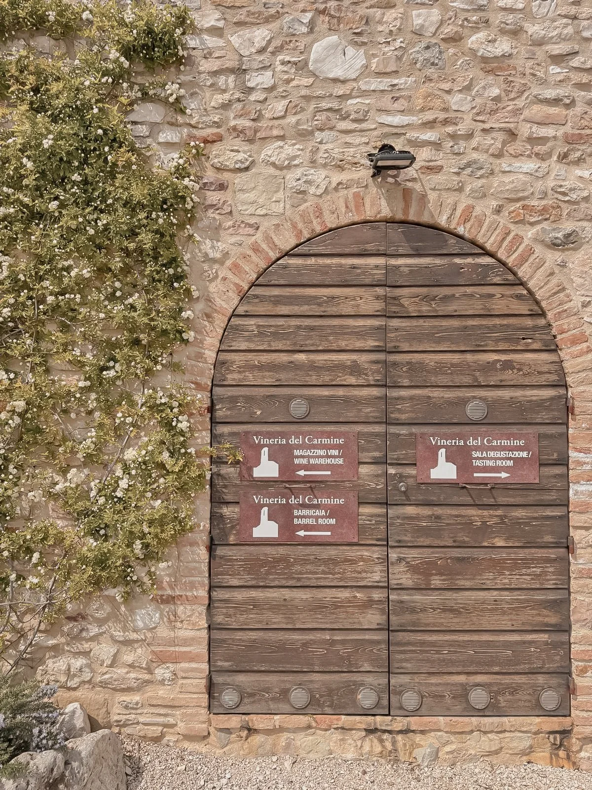 Wooden door with three signs indicating a wine cellar and tasting room, stone wall, bush with white flowers to the left, and a security camera above the door.