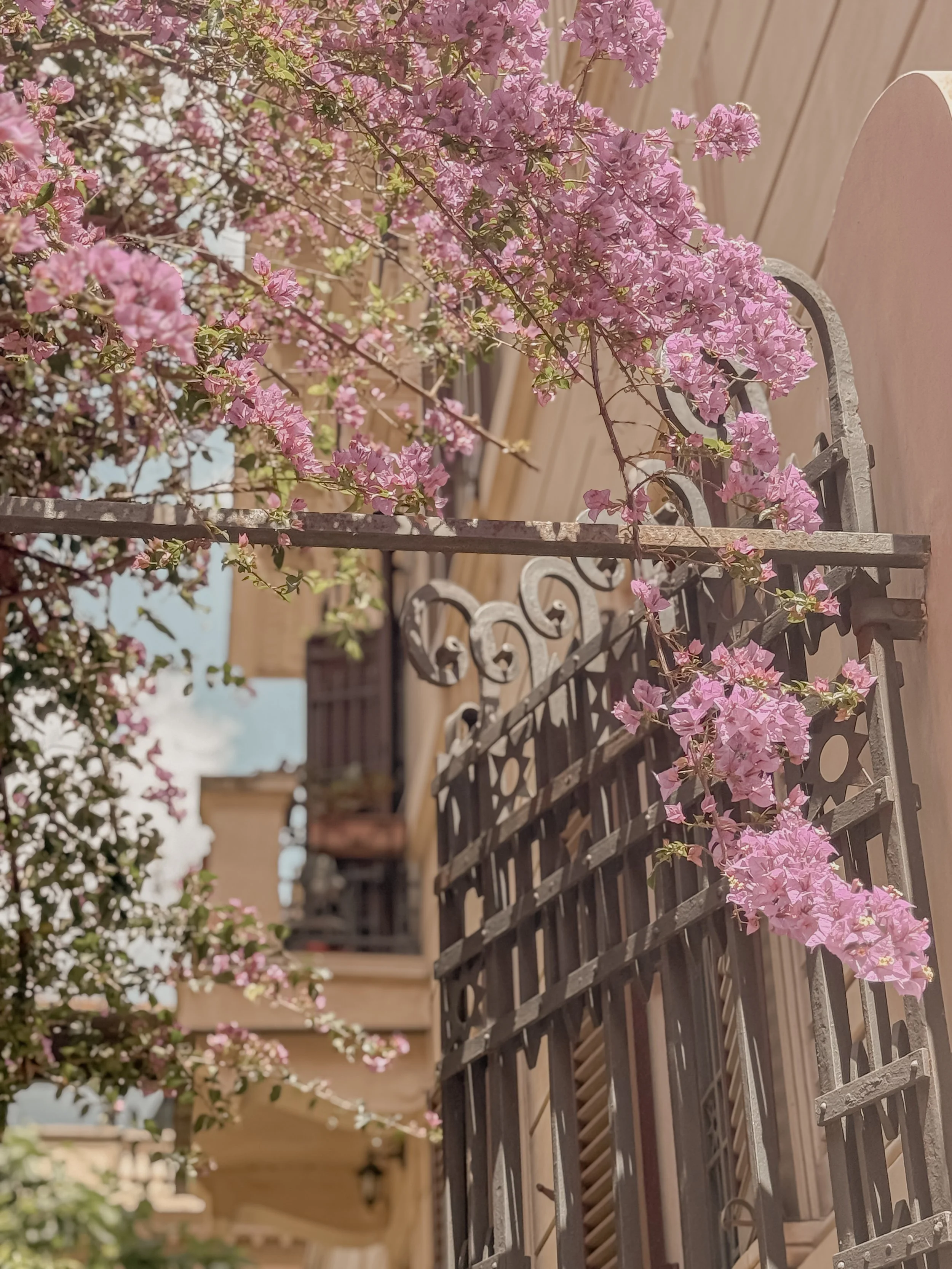 The Perfect Spring Morning in Rome