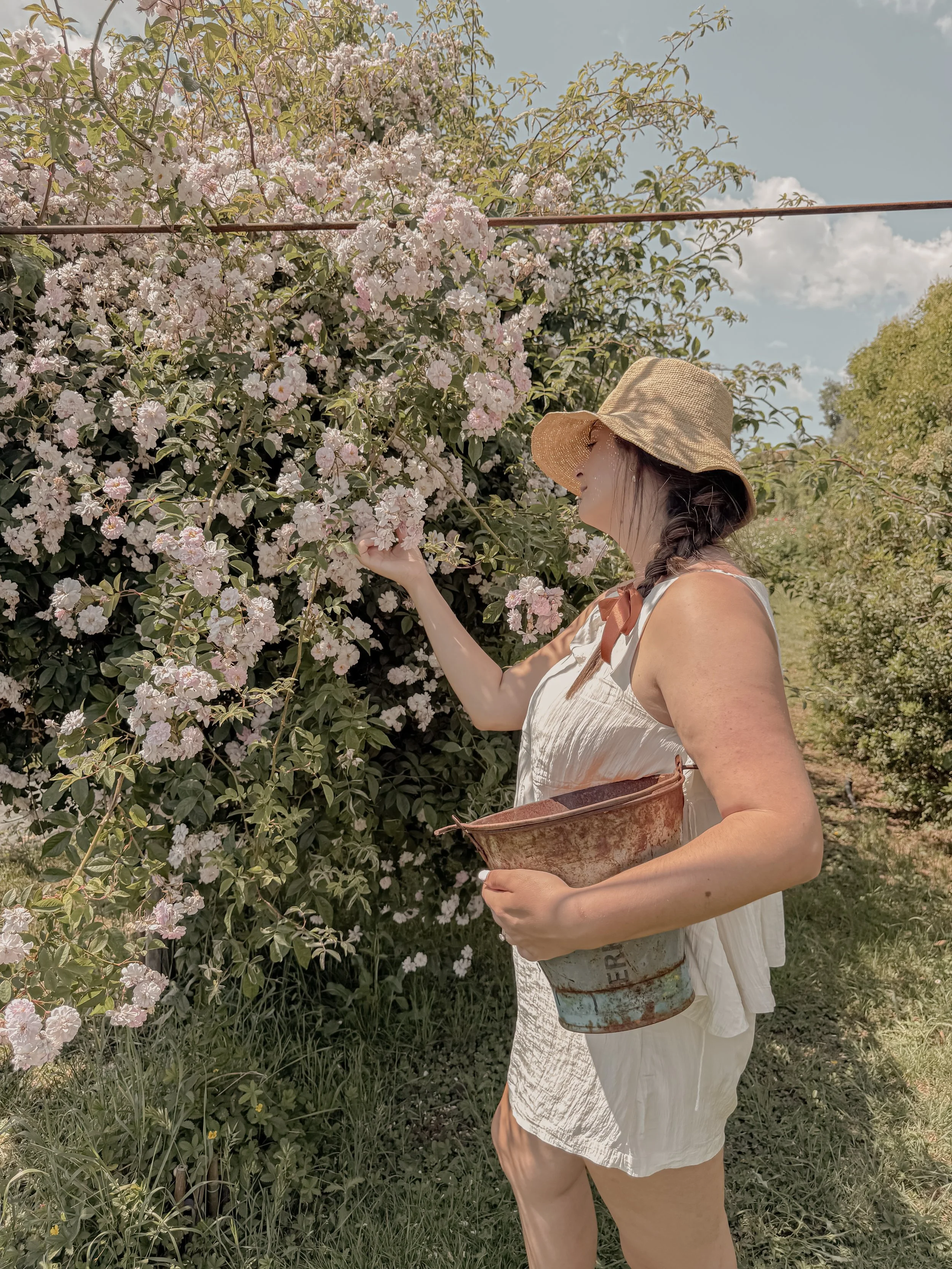 A Morning at a Tuscan Flower Farm in the Heart of the Val d’Orcia 🌸