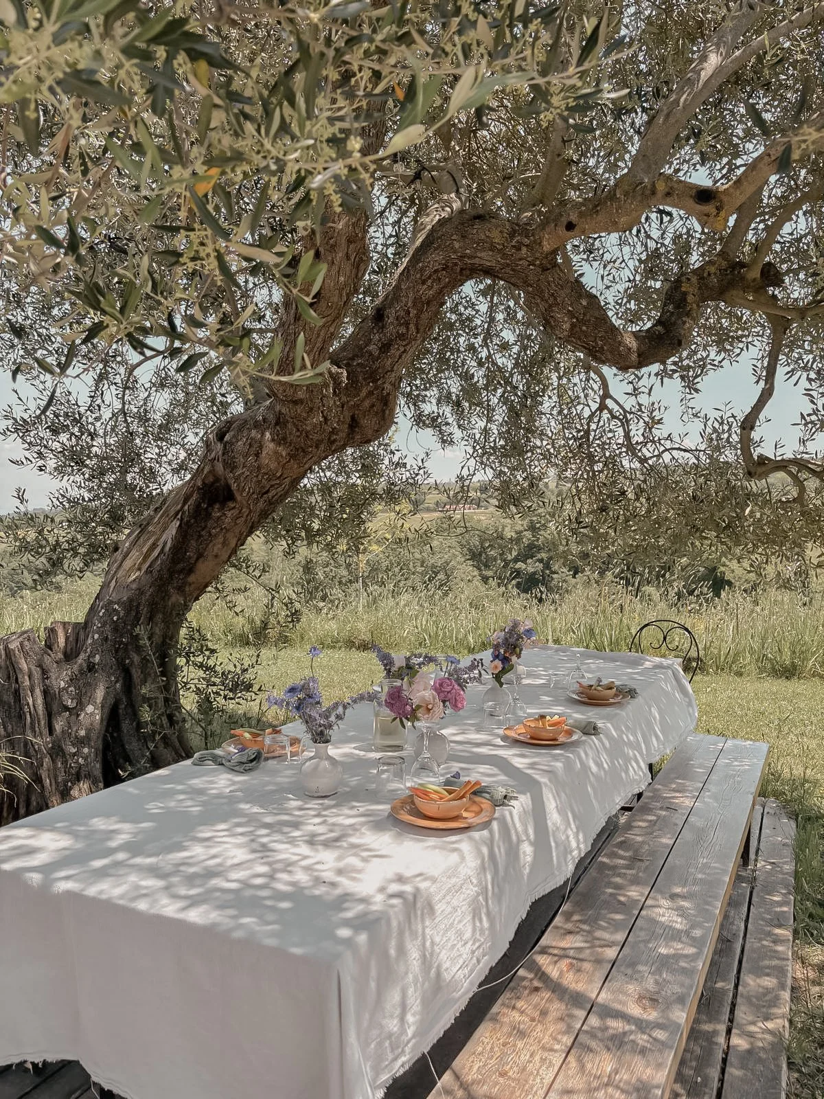 Outdoor dining table set beneath a large, leafy tree with a white tablecloth, floral centerpieces, and place settings, in a grassy field surrounded by nature.