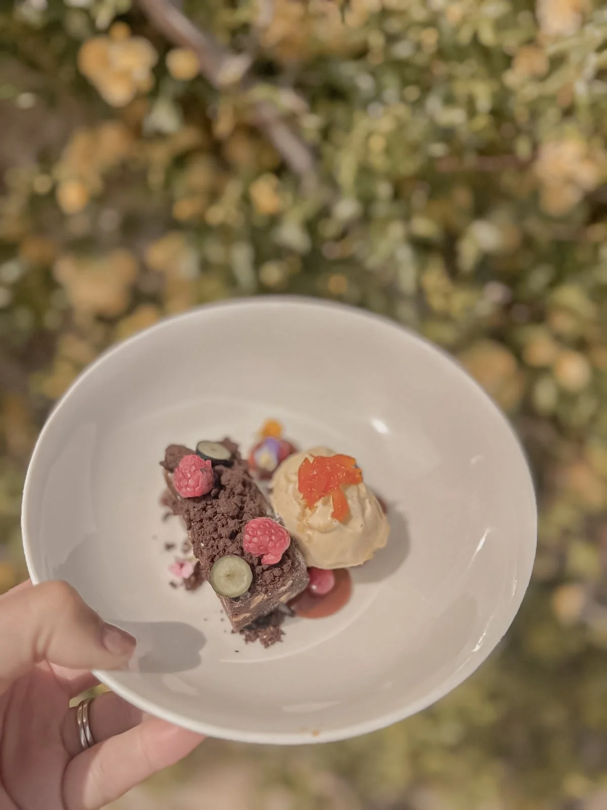 A dessert plate with a chocolate brownie topped with raspberries, blueberries, and edible flowers, alongside a scoop of vanilla ice cream with orange zest, held over a blurred background of yellow flowers.