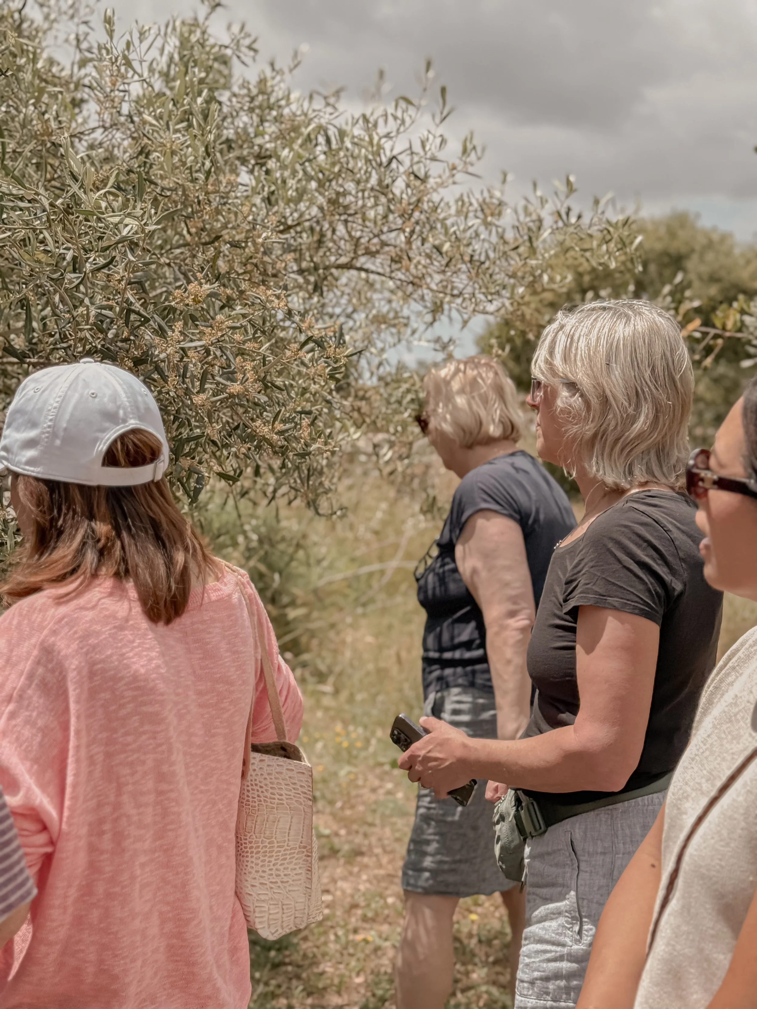 A group of people standing outdoors near trees on a cloudy day, seen from behind and side angles.
