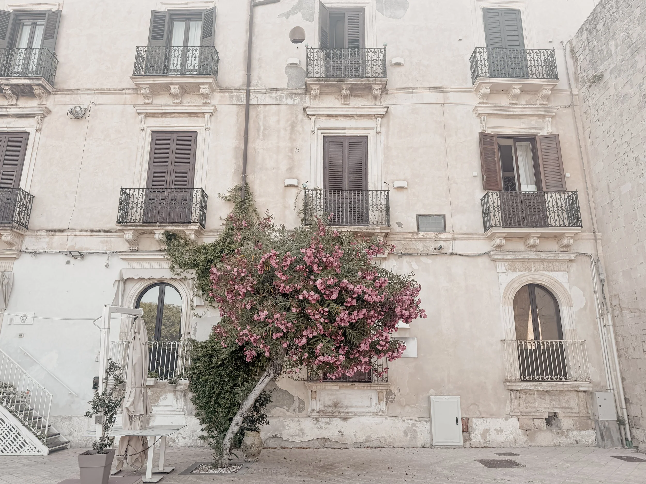A multi-story building with several windows and small balconies featuring black railings. The building face is worn with peeling paint. In front, there is a pink flowering tree leaning to the left, with green foliage. A large pot with a small plant and a white table with a closed umbrella are also visible on the sidewalk.